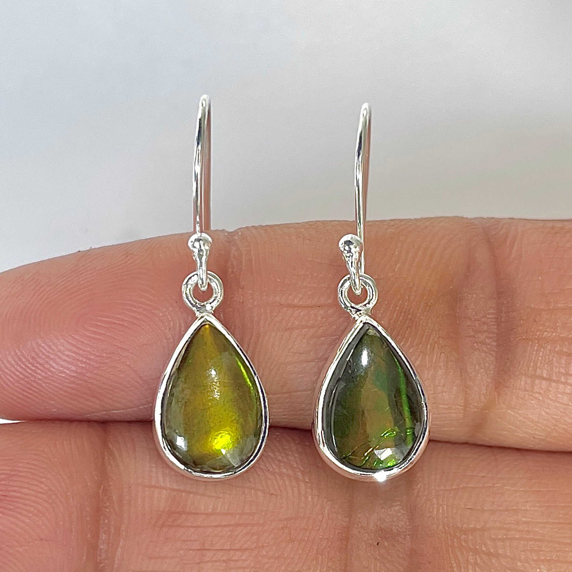 Ammolite Earring-(AML-3-1)
