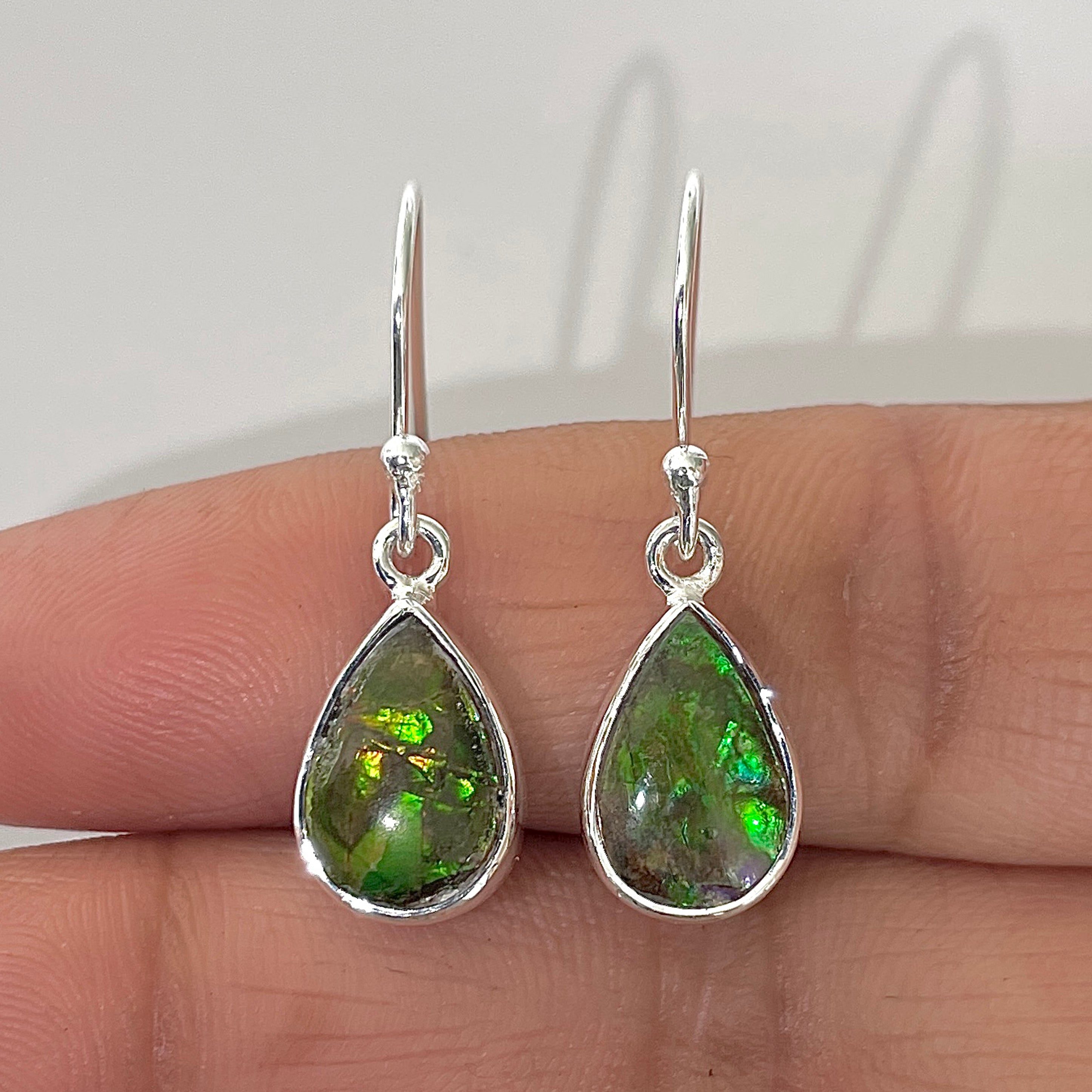 Ammolite Earring-(AML-3-10)
