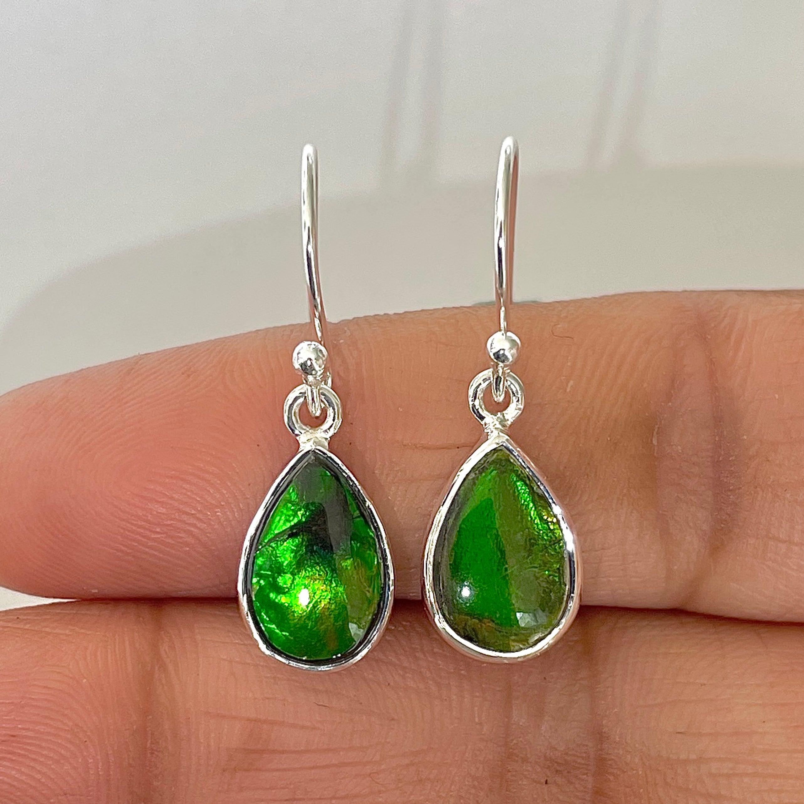 Ammolite Earring-(AML-3-11)