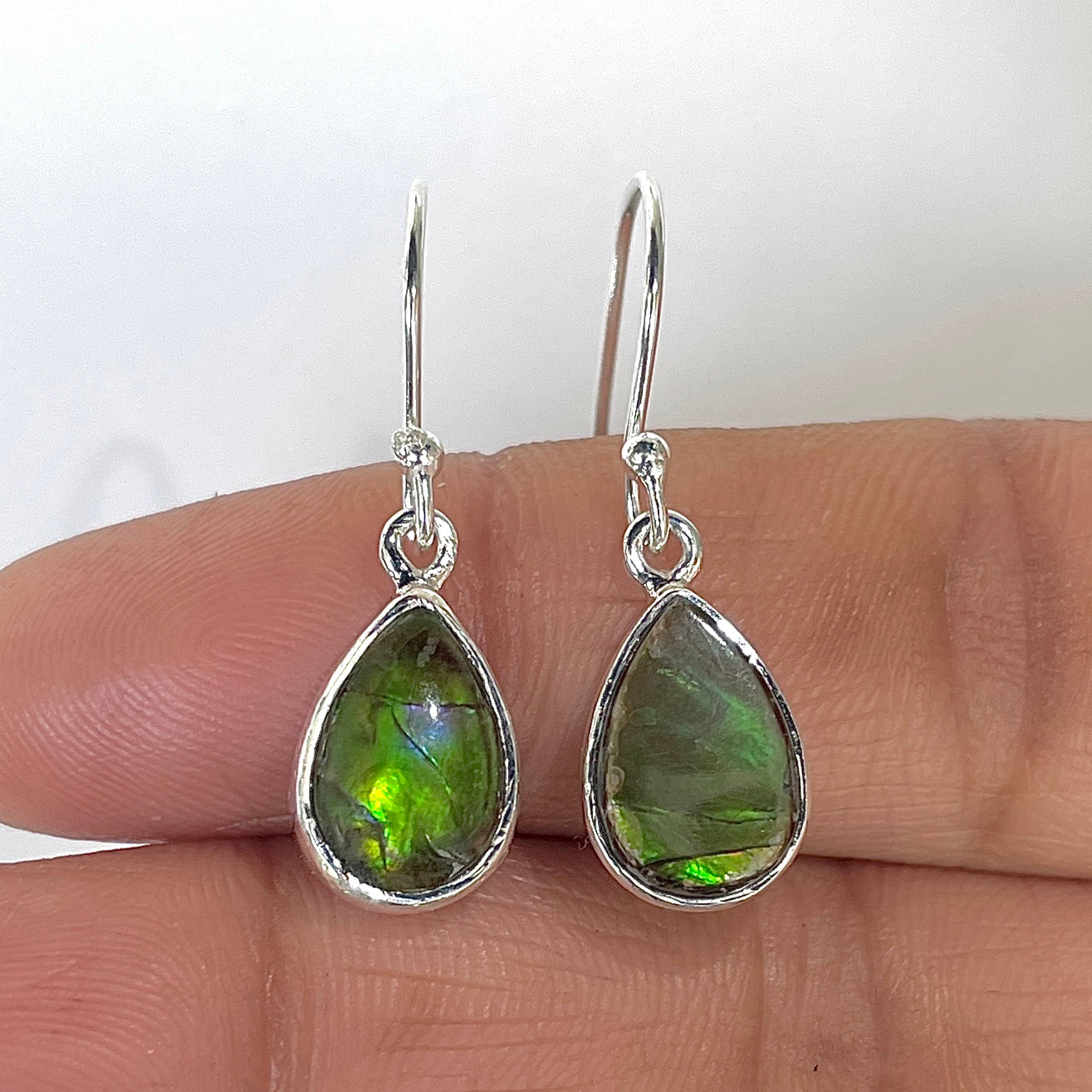 Ammolite Earring-(AML-3-2)