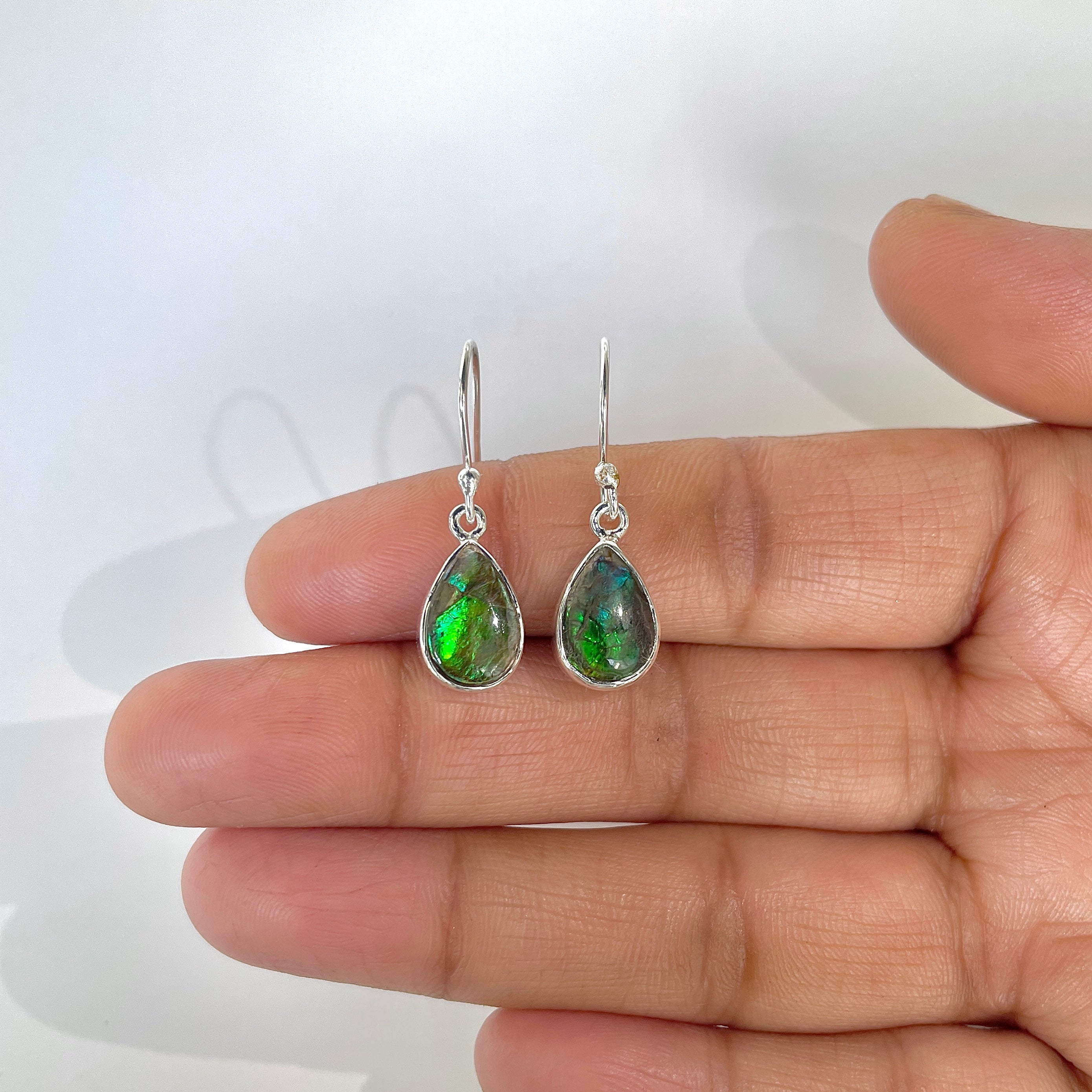 Ammolite Earring-(AML-3-3)