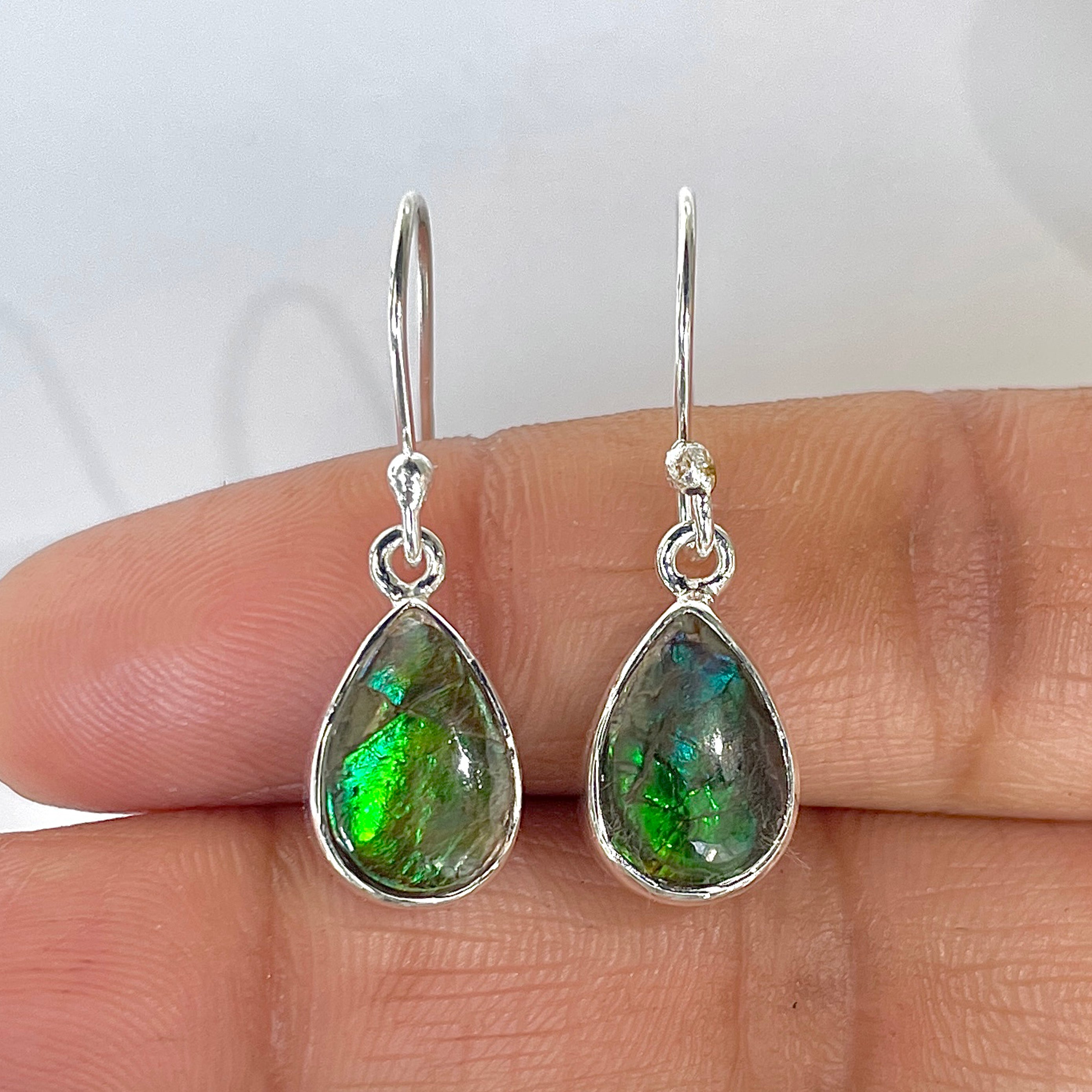 Ammolite Earring-(AML-3-3)