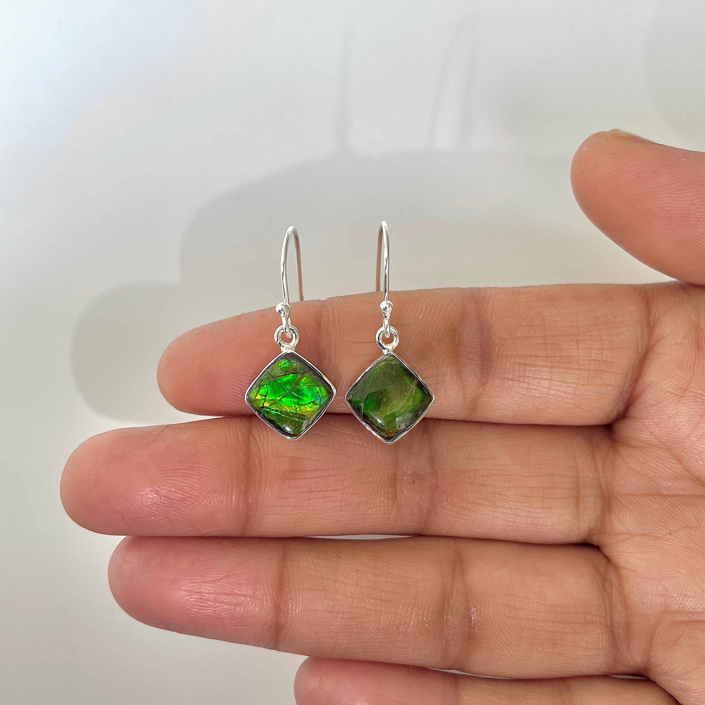 Ammolite Earring-(AML-3-4)