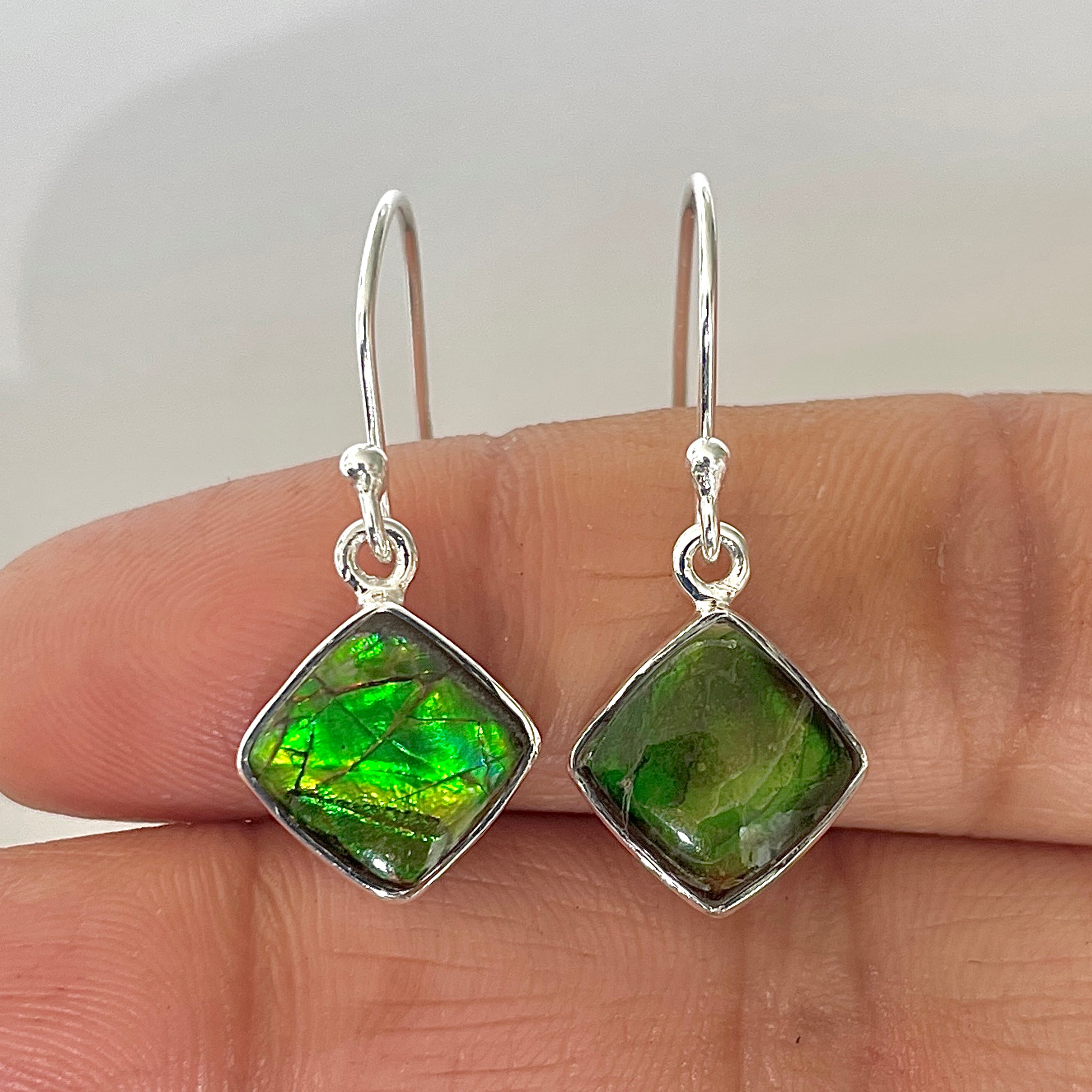 Ammolite Earring-(AML-3-4)