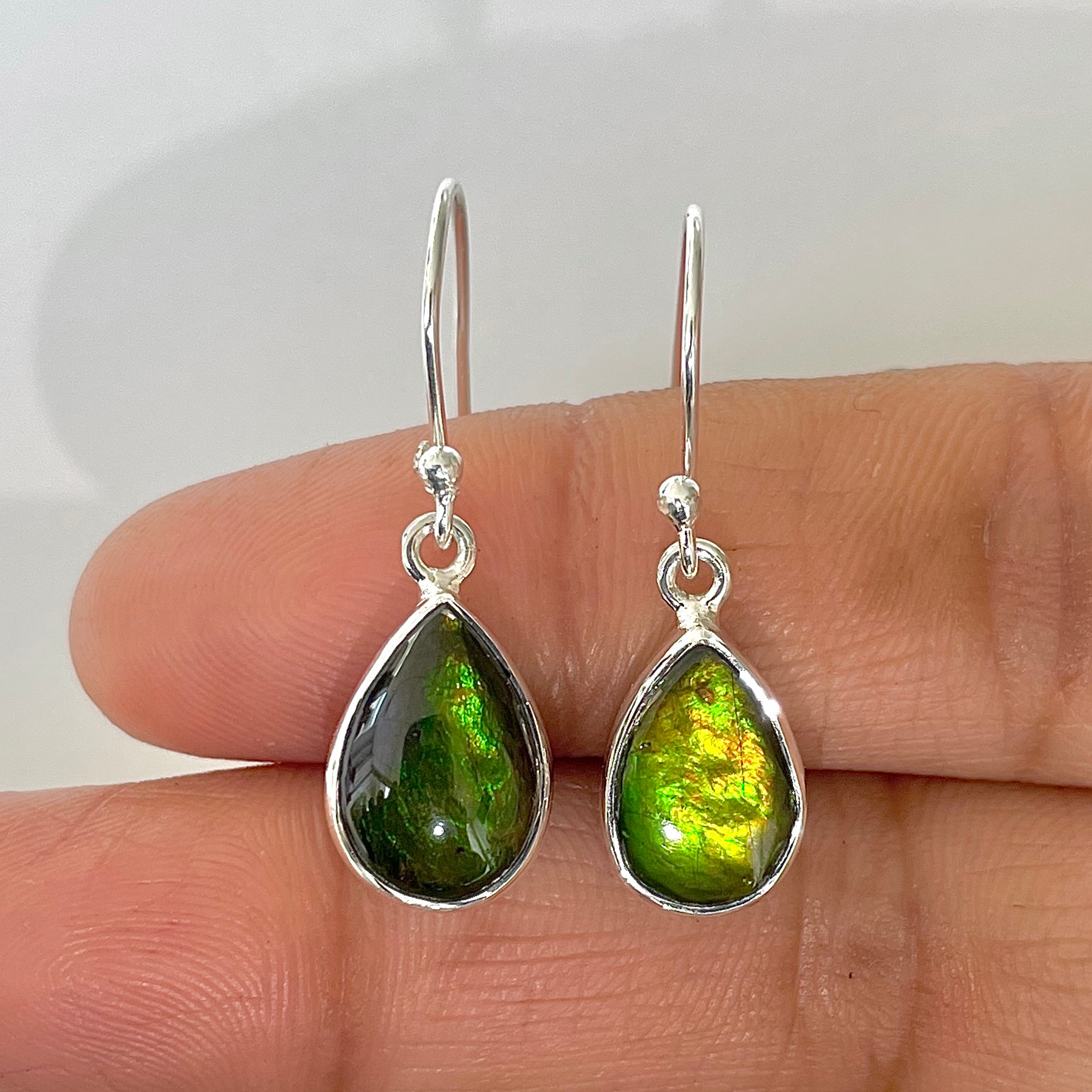Ammolite Earring-(AML-3-5)