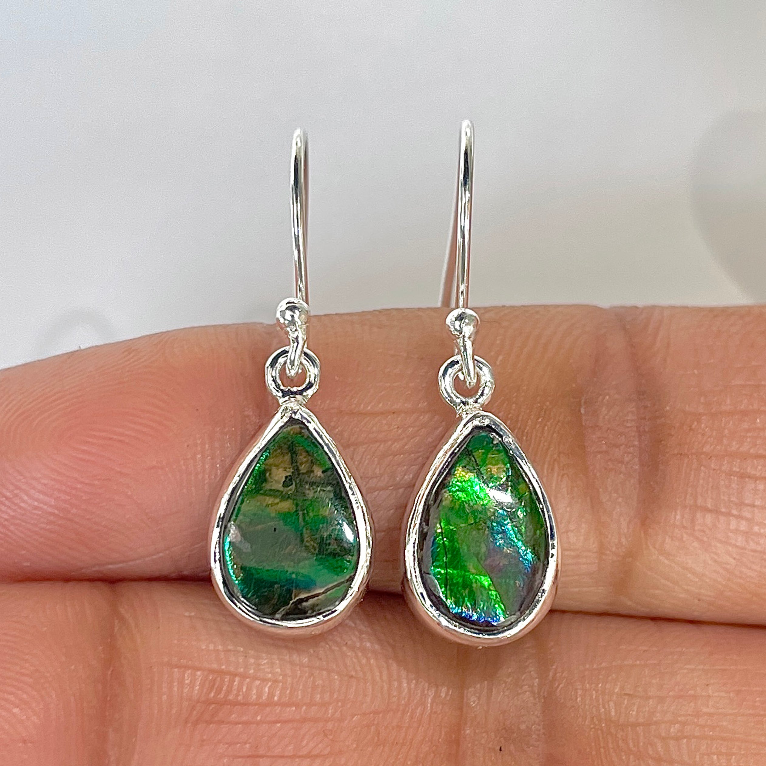 Ammolite Earring-(AML-3-7)