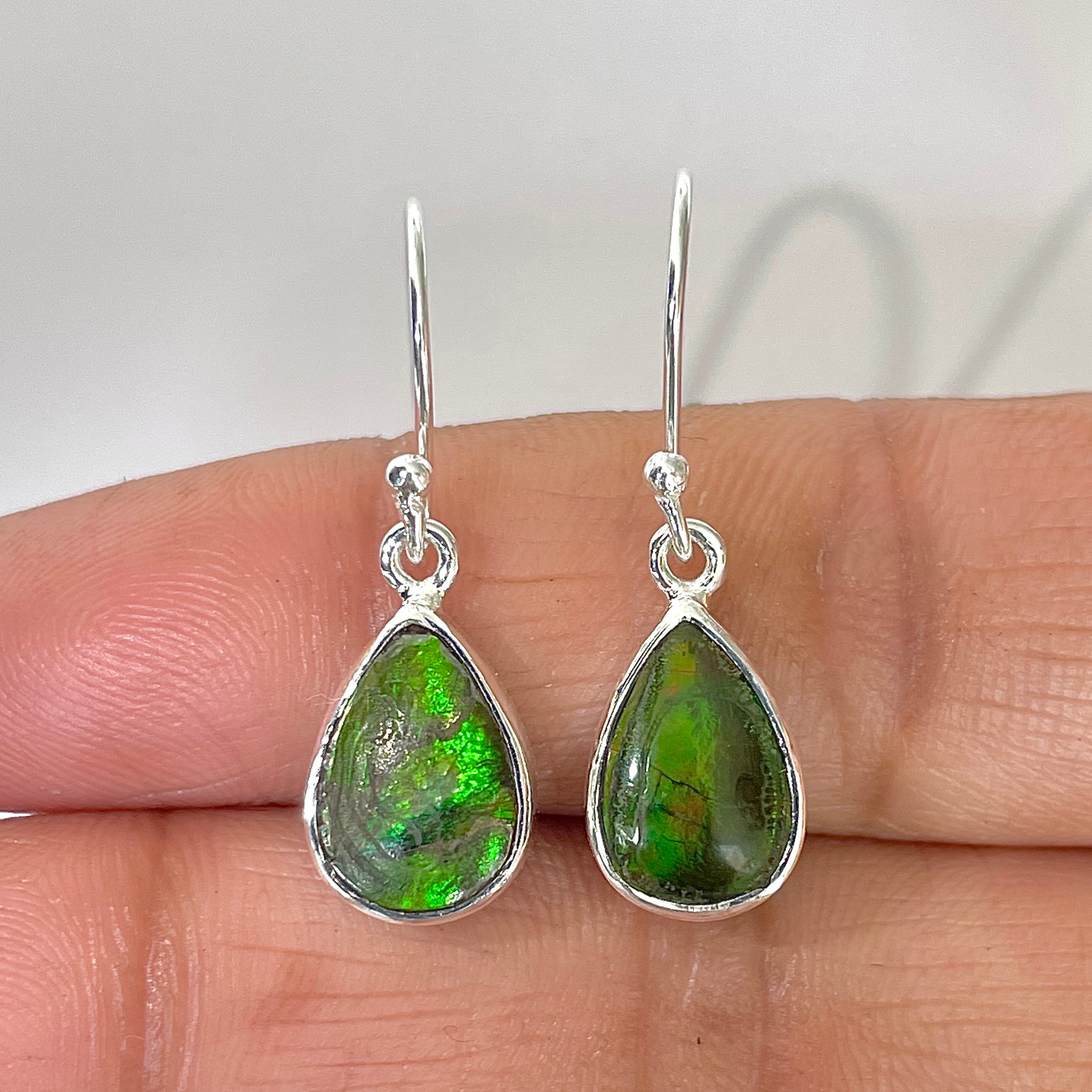 Ammolite Earring-(AML-3-8)