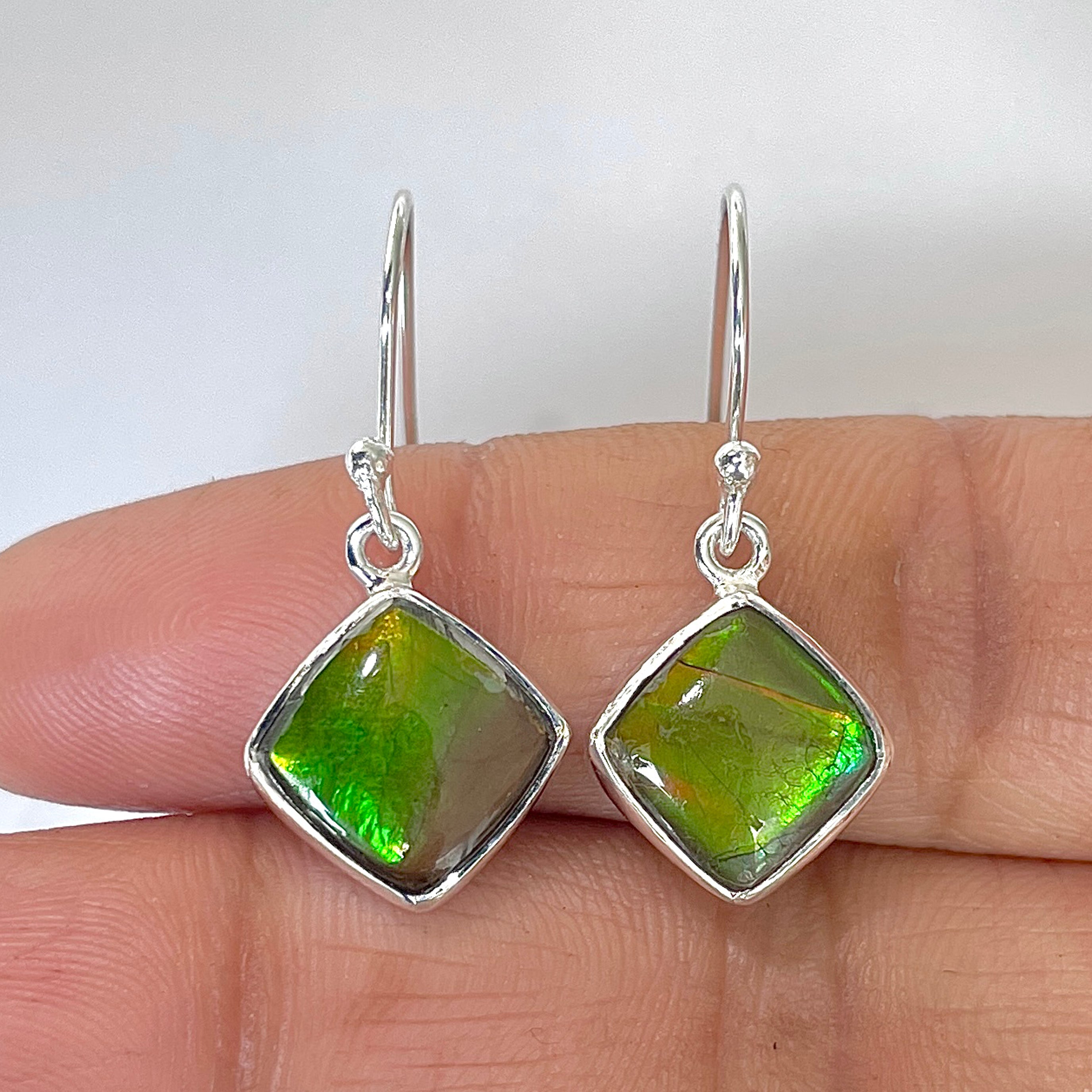 Ammolite Earring-(AML-3-9)