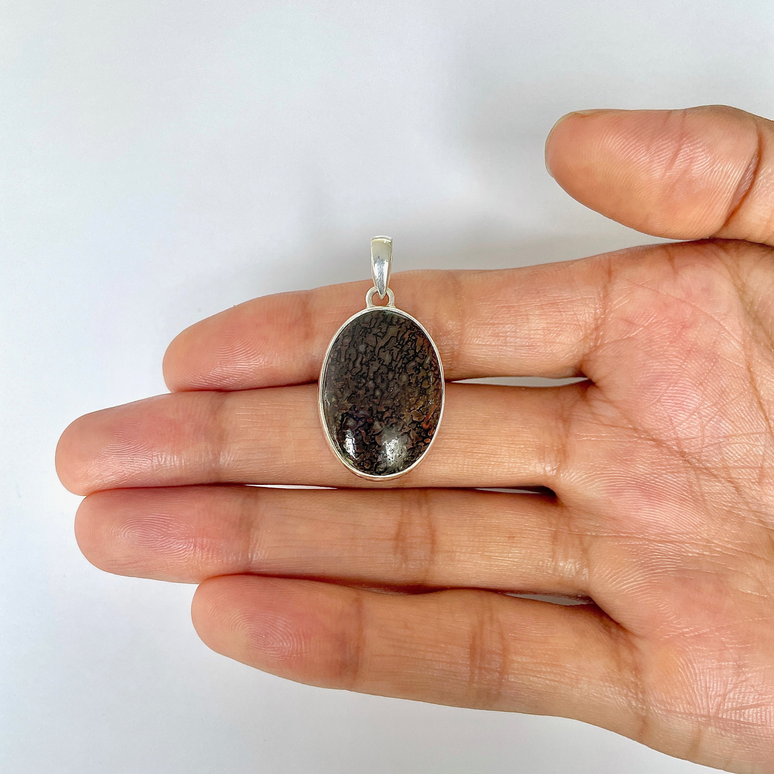 Dinosaur Bone Pendant-(DSB-1-11)
