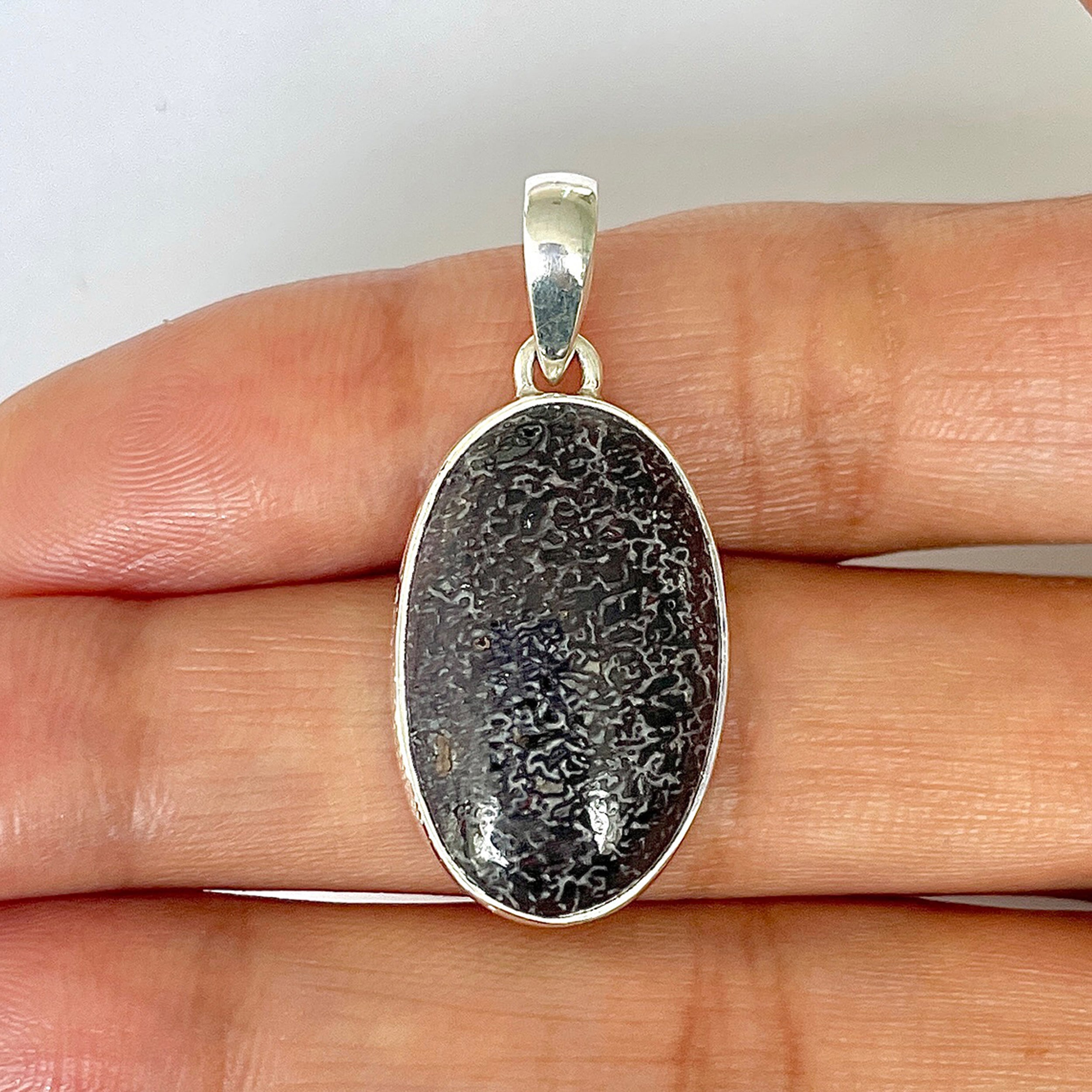 Dinosaur Bone Pendant-(DSB-1-23)