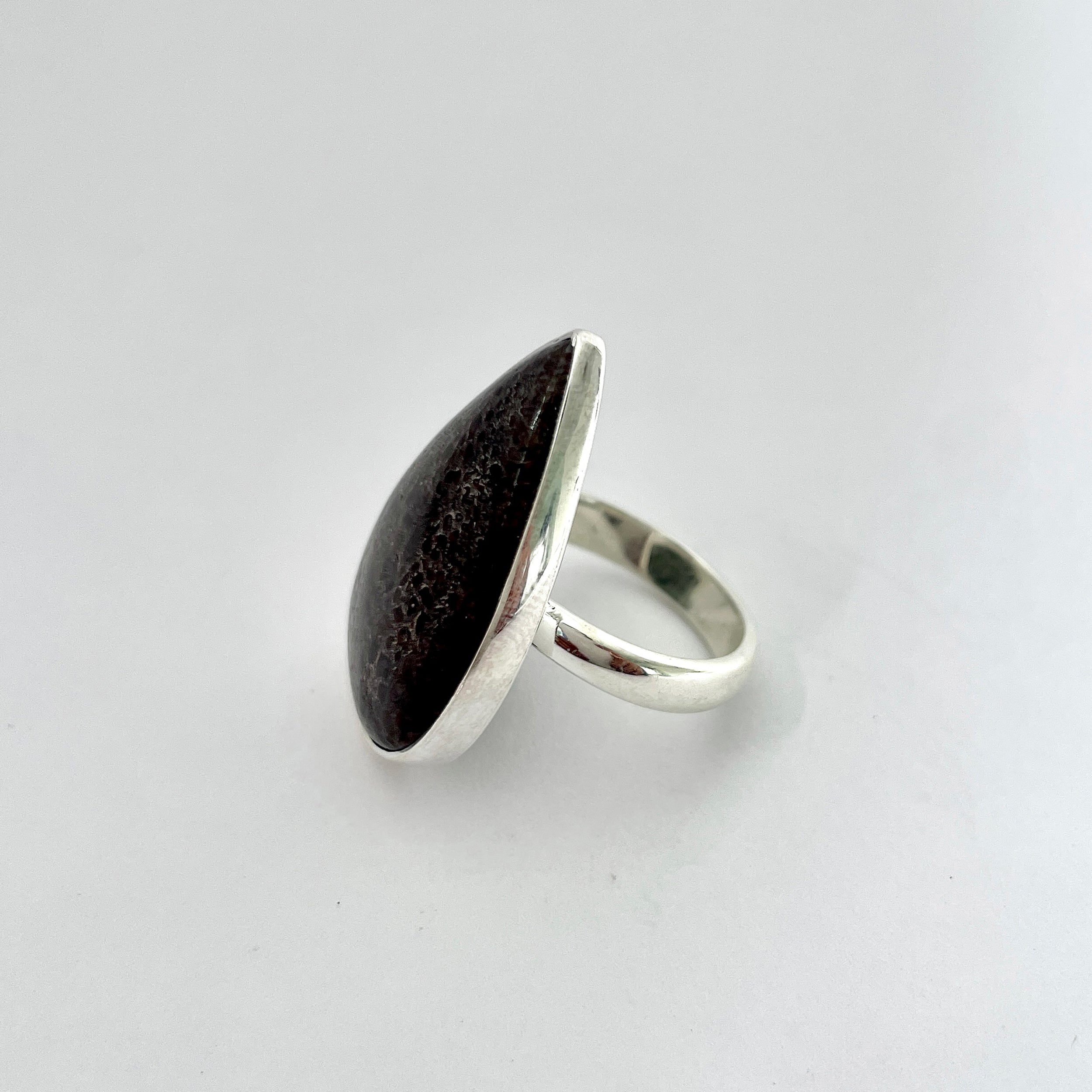 Dinosaur Bone Ring-(DSB-2-2)