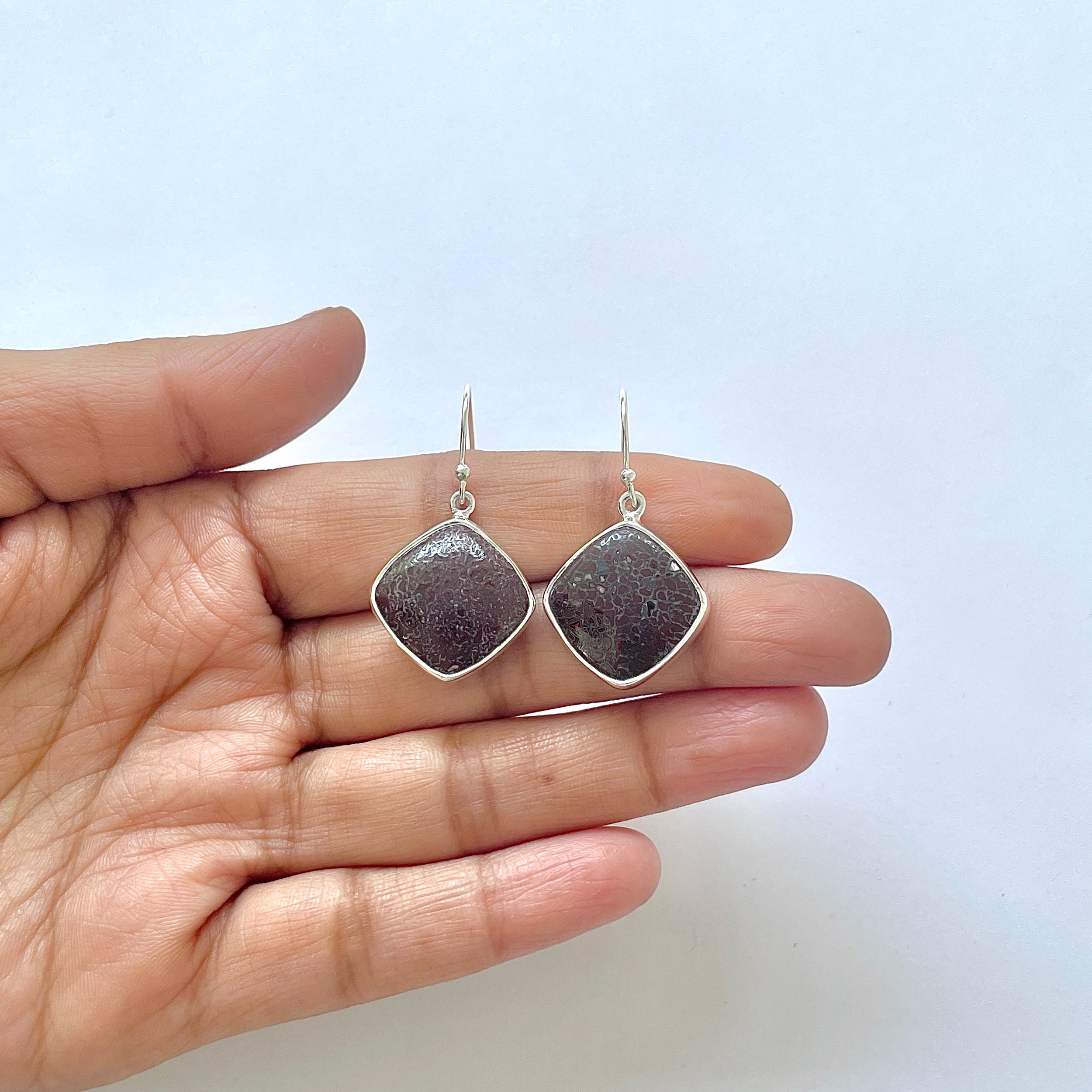 Dinosaur Bone Earring-(DSB-3-11)