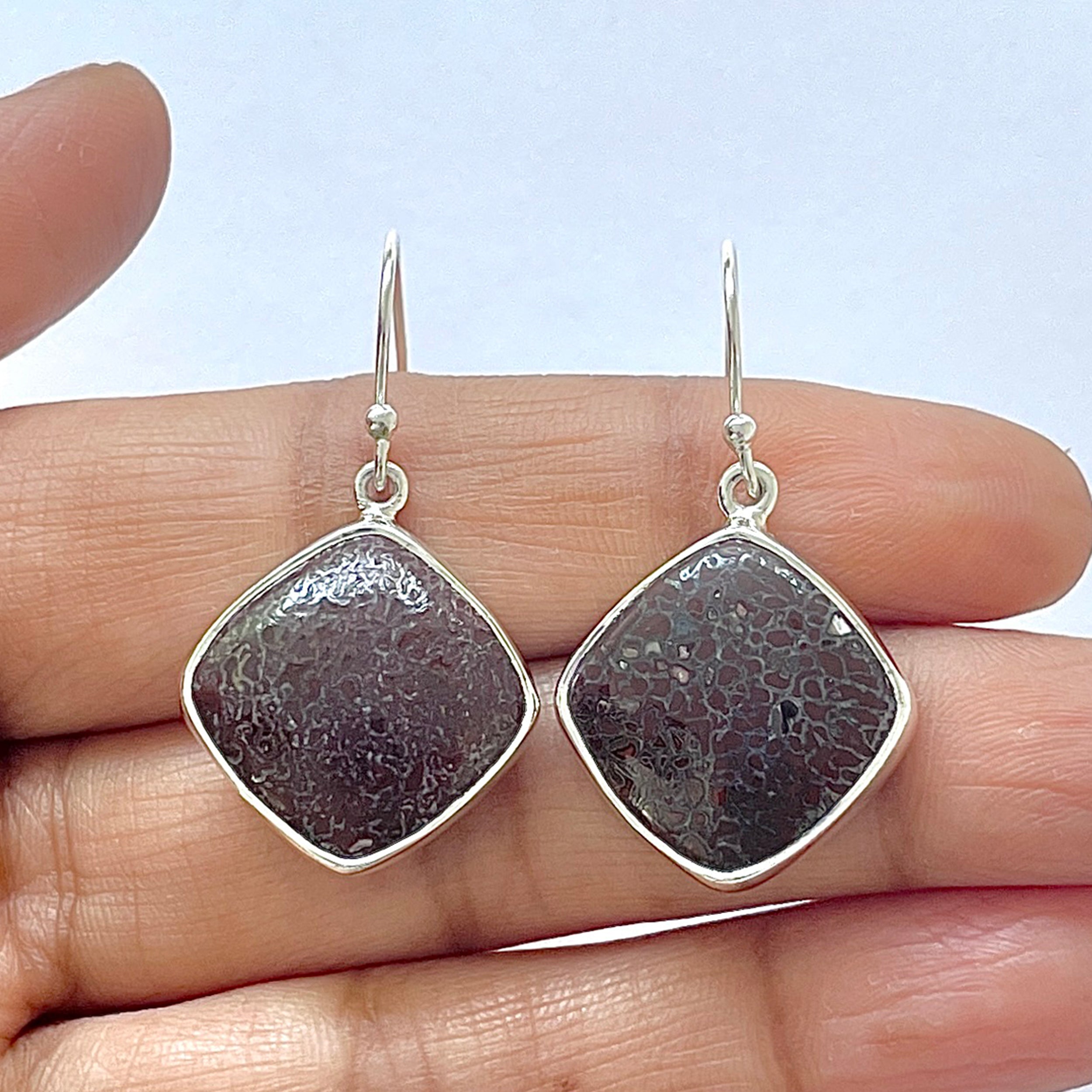 Dinosaur Bone Earring-(DSB-3-11)