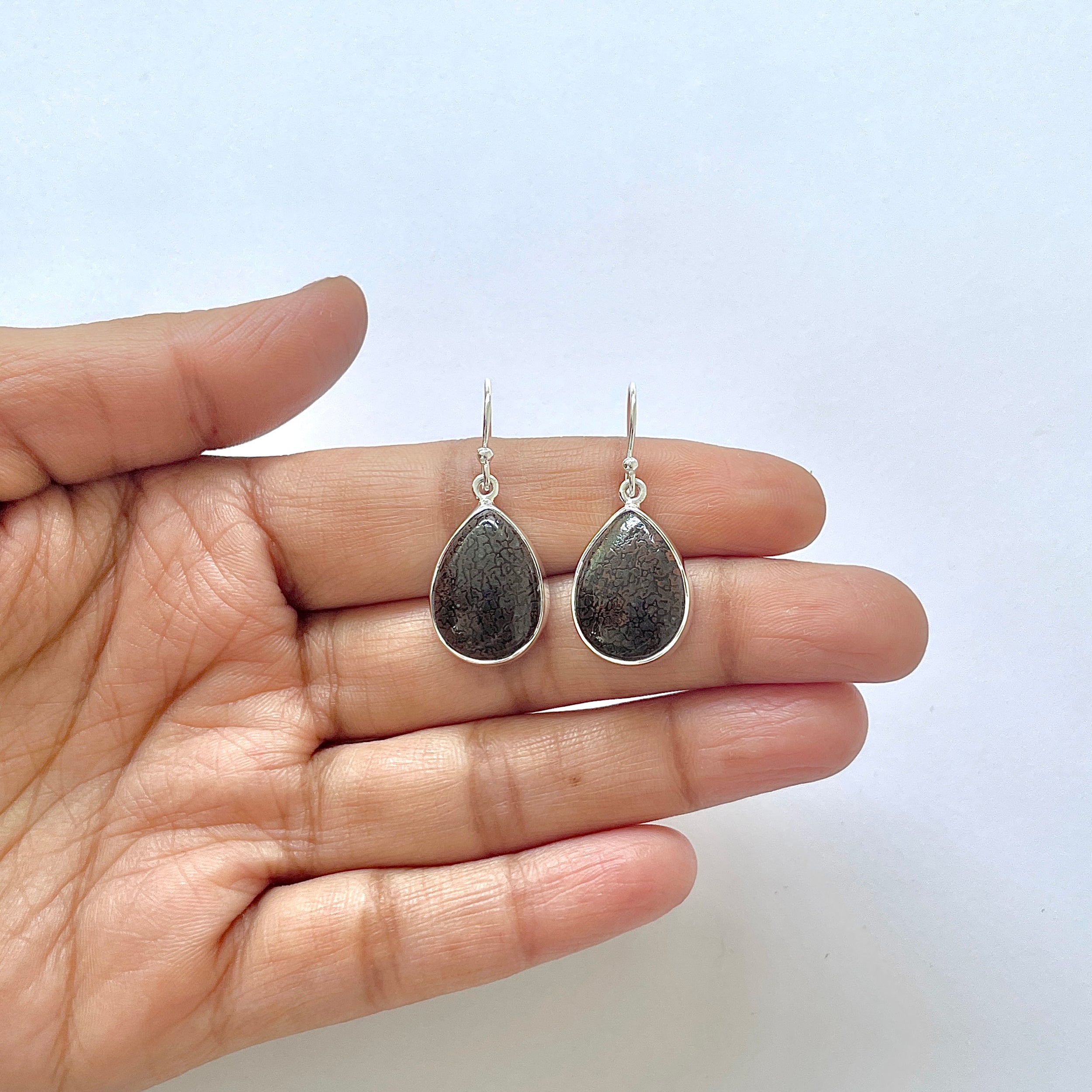 Dinosaur Bone Earring-(DSB-3-15)