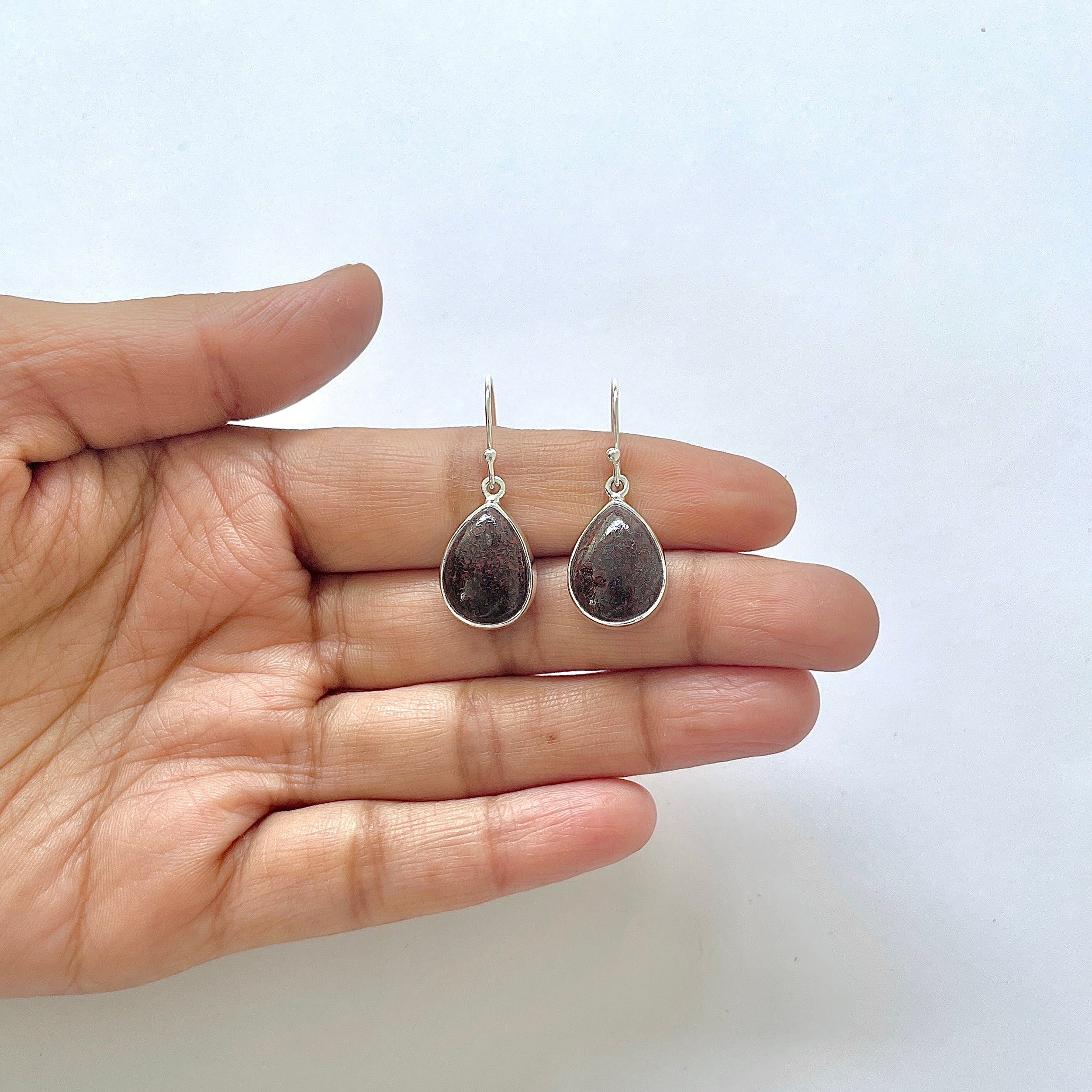 Dinosaur Bone Earring-(DSB-3-16)