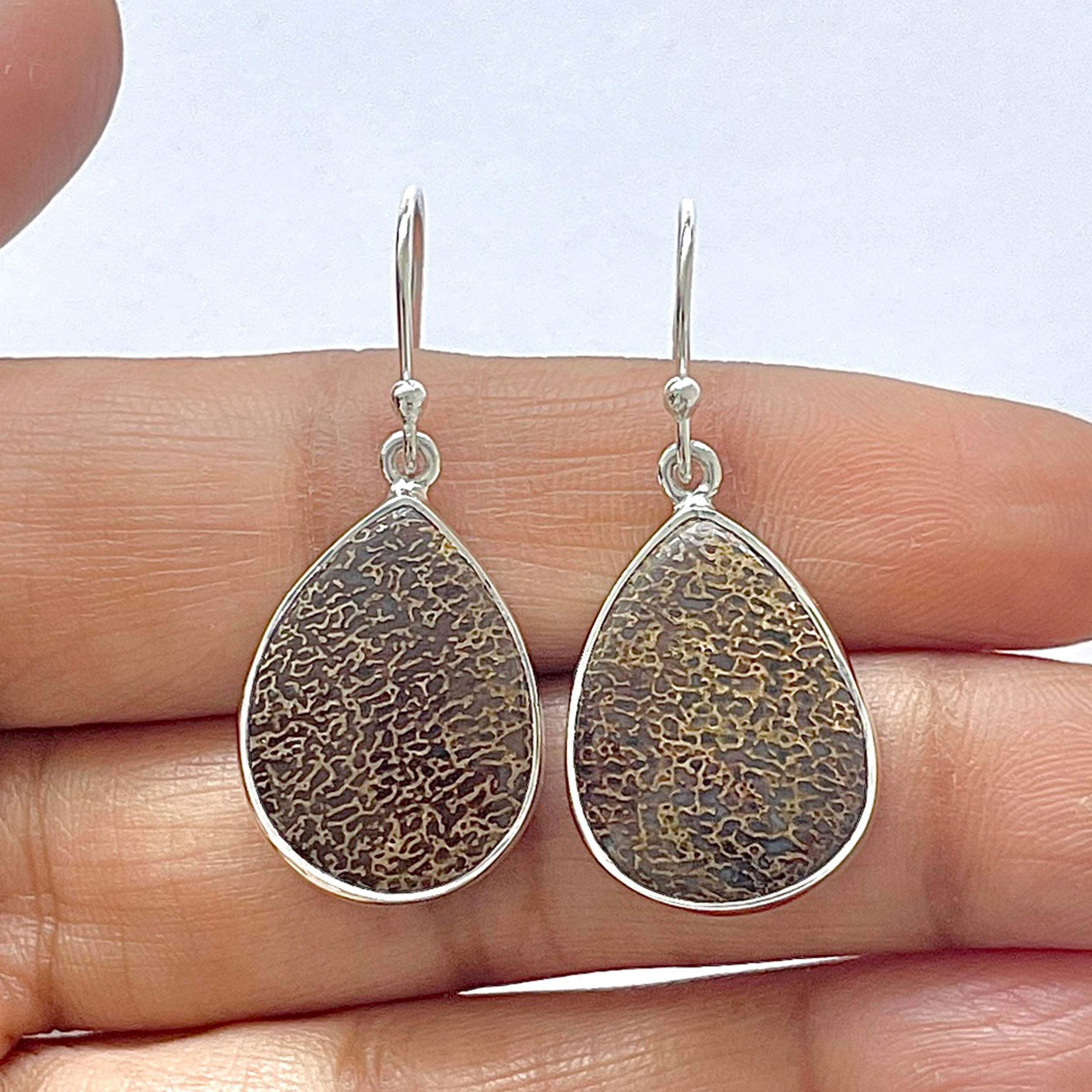 Dinosaur Bone Earring-(DSB-3-18)