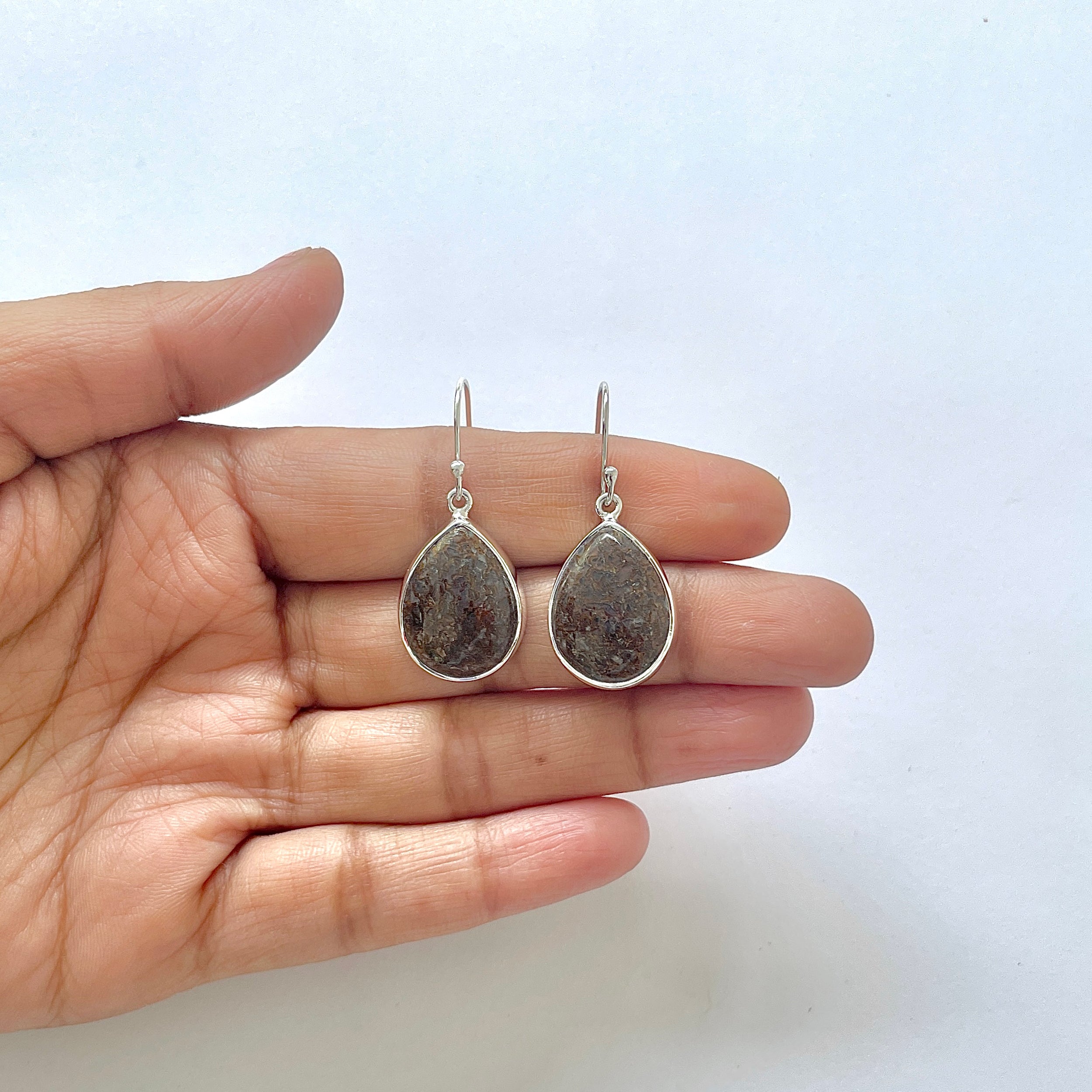 Dinosaur Bone Earring-(DSB-3-19)