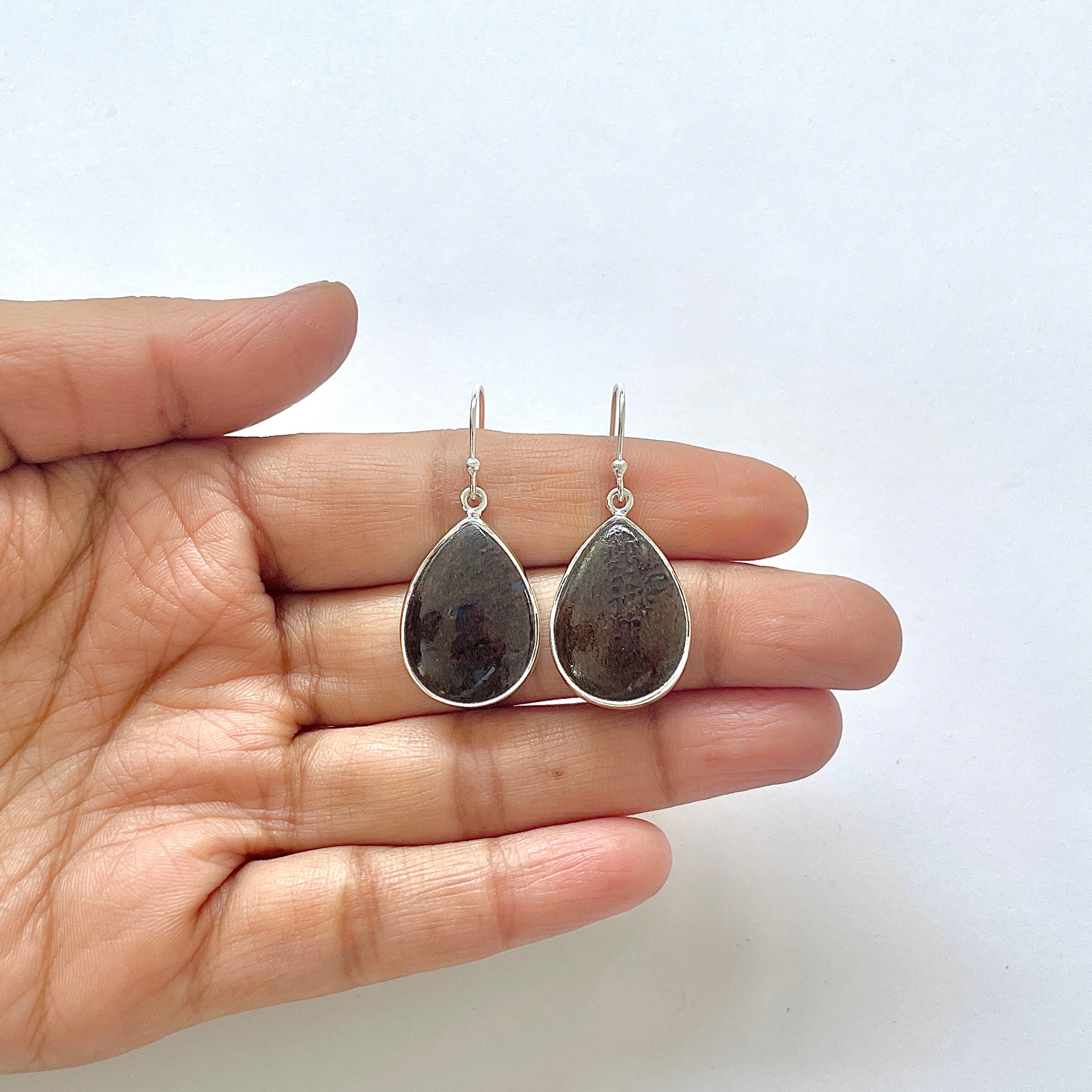 Dinosaur Bone Earring-(DSB-3-20)