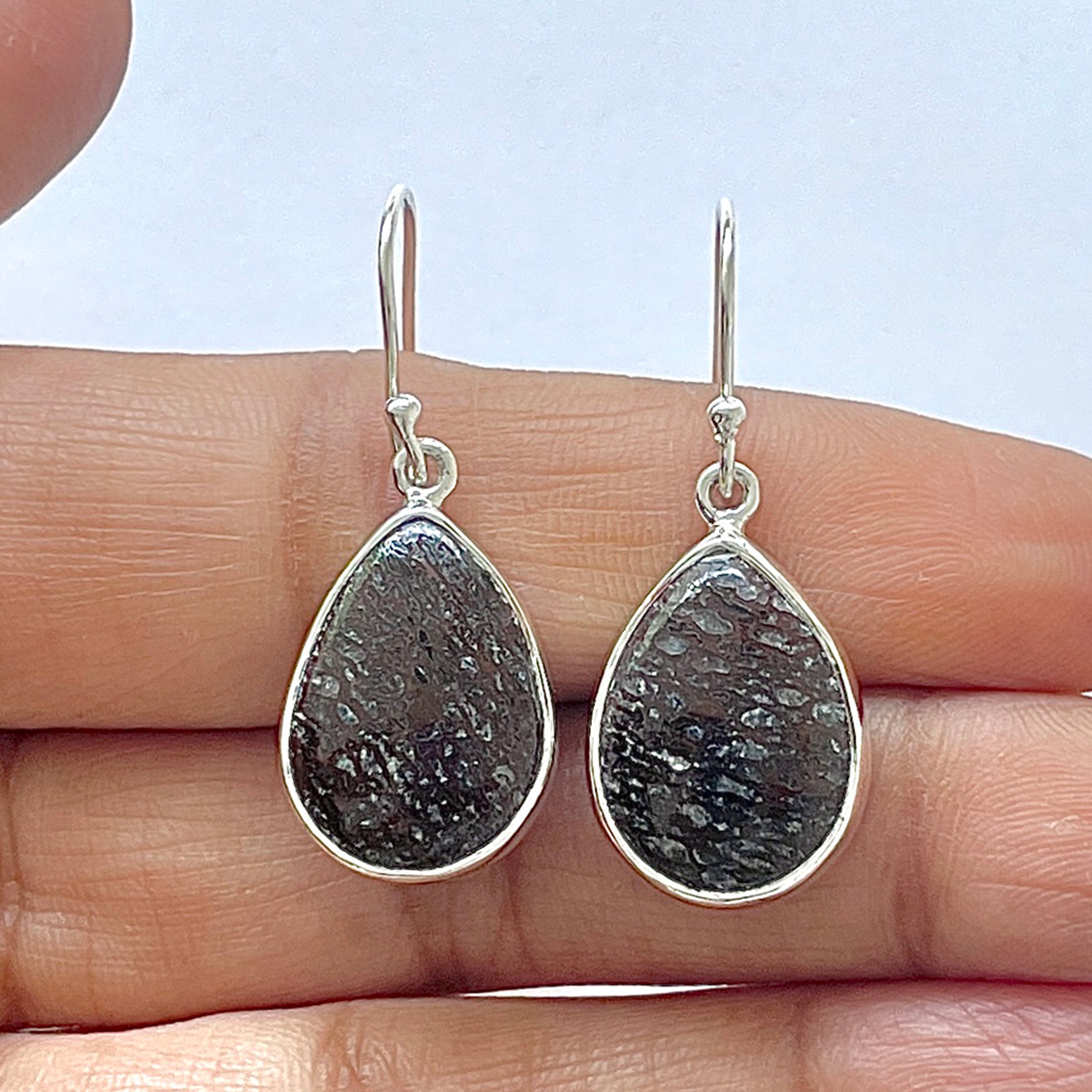 Dinosaur Bone Earring-(DSB-3-3)