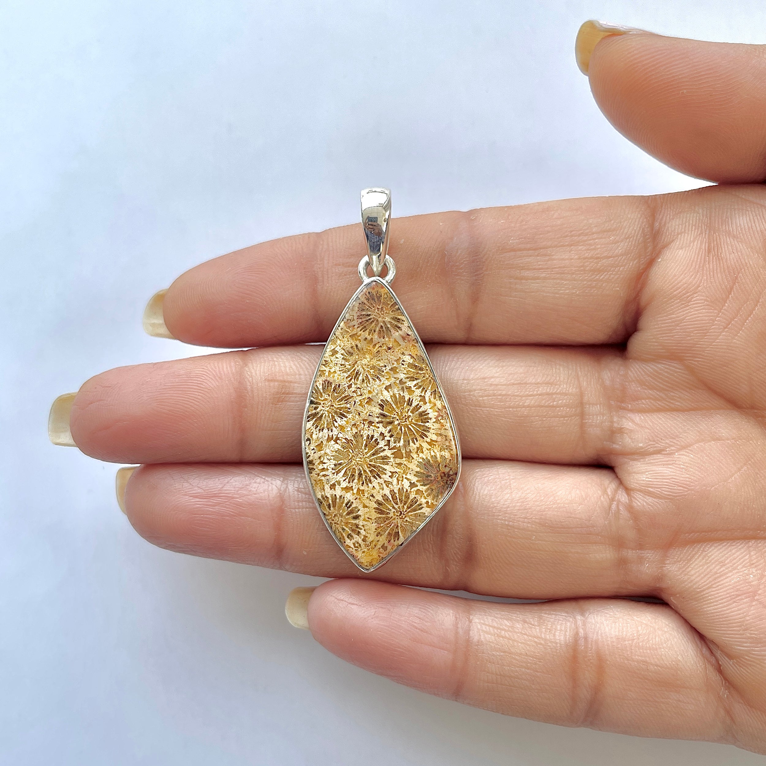 Fossilized Coral Pendant-(FSC-1-14)