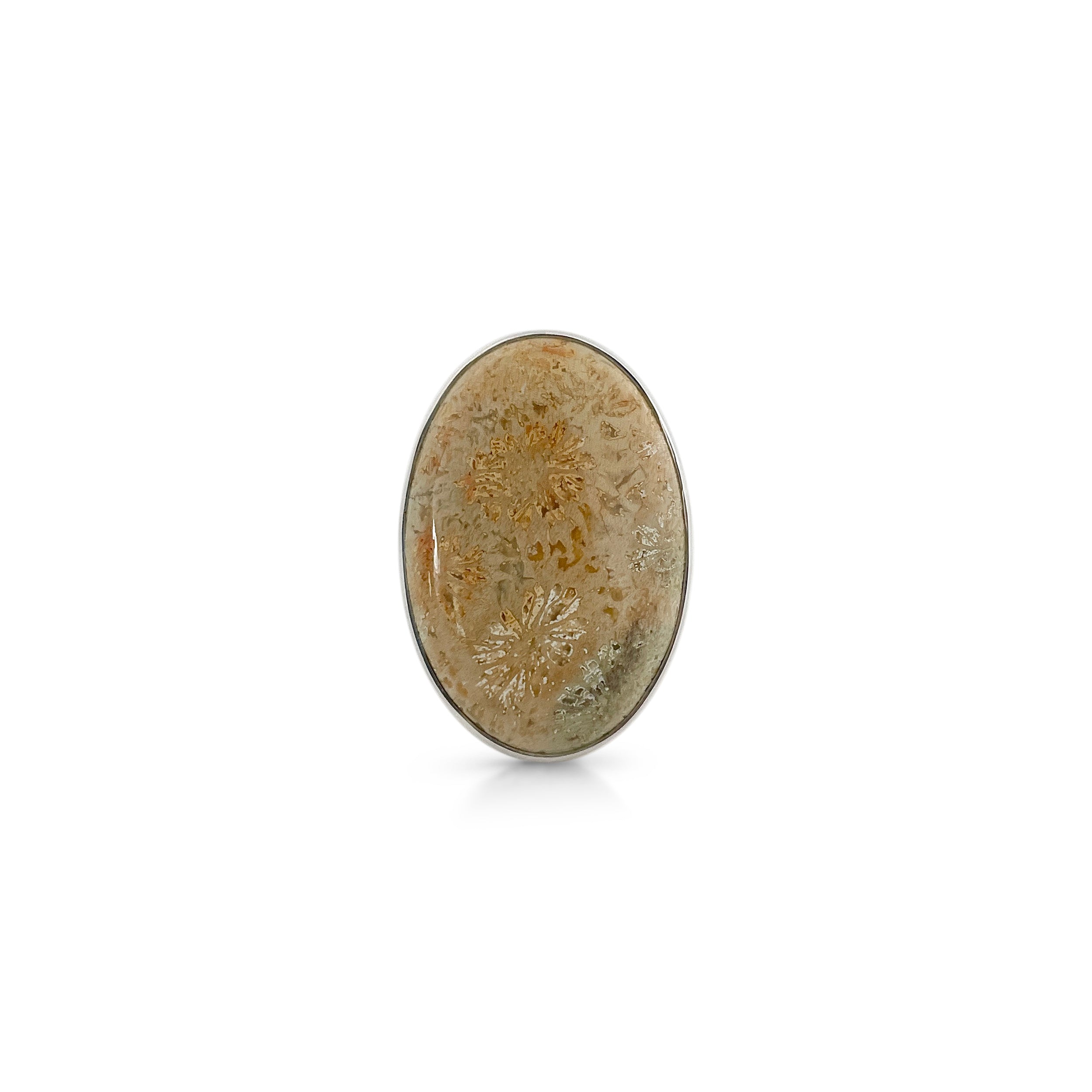 Fossilized Coral Ring-(FSC-2-3)