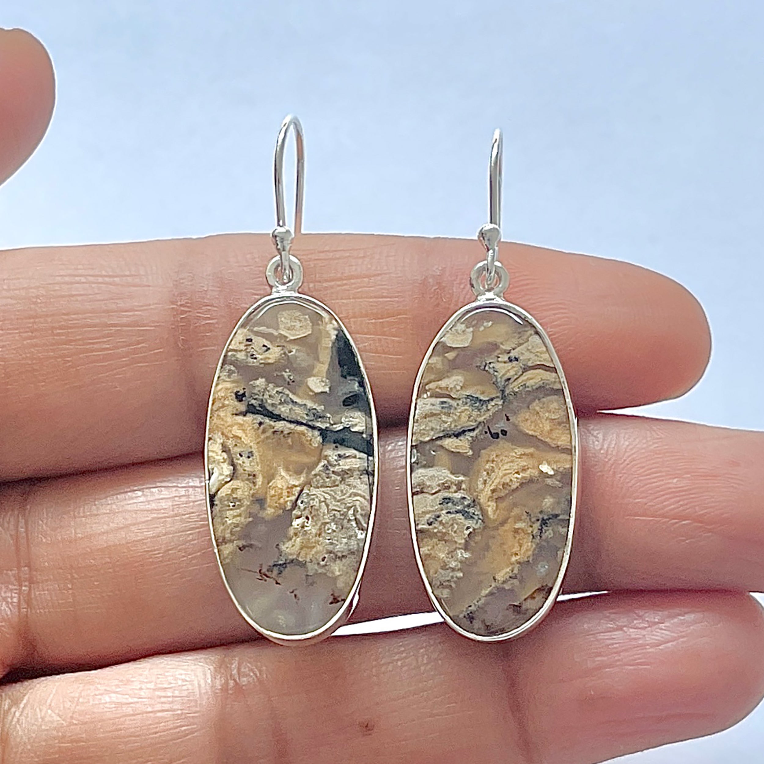 Plume Agate Earring-(PLA-3-14)