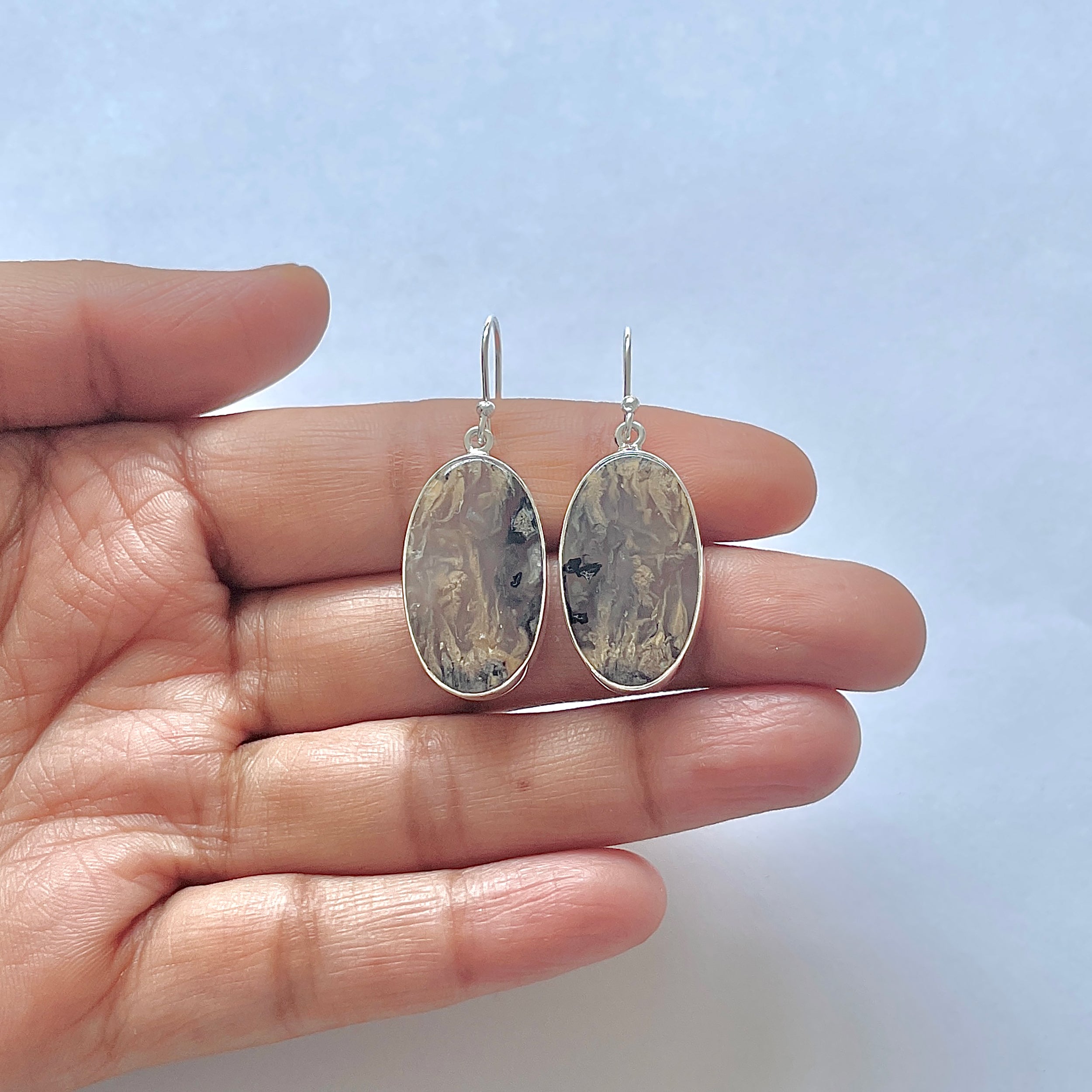 Plume Agate Earring-(PLA-3-20)