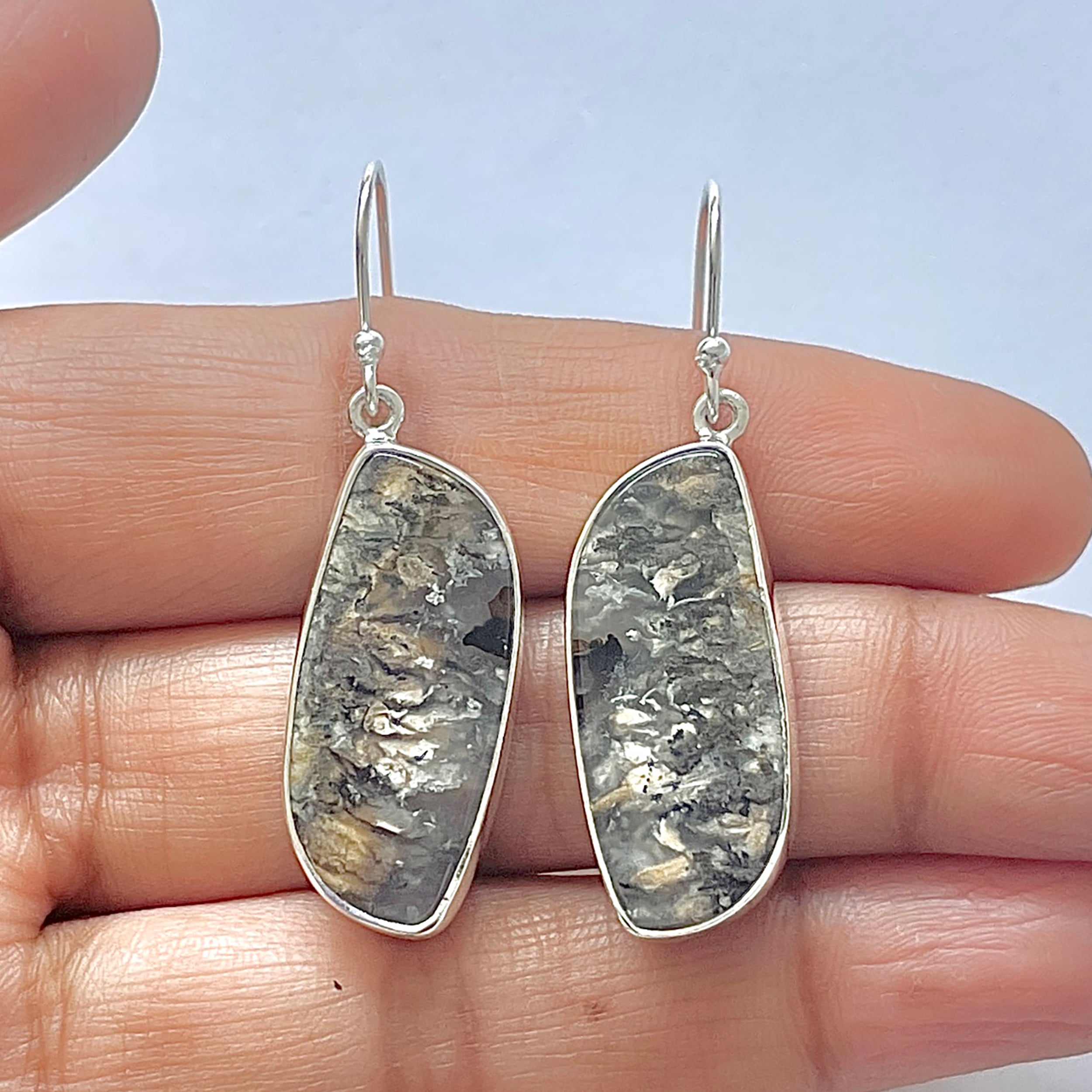 Plume Agate Earring-(PLA-3-23)