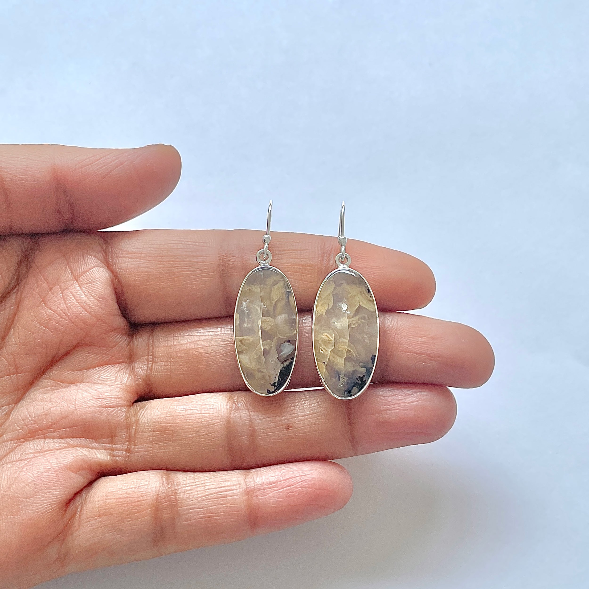 Plume Agate Earring-(PLA-3-25)
