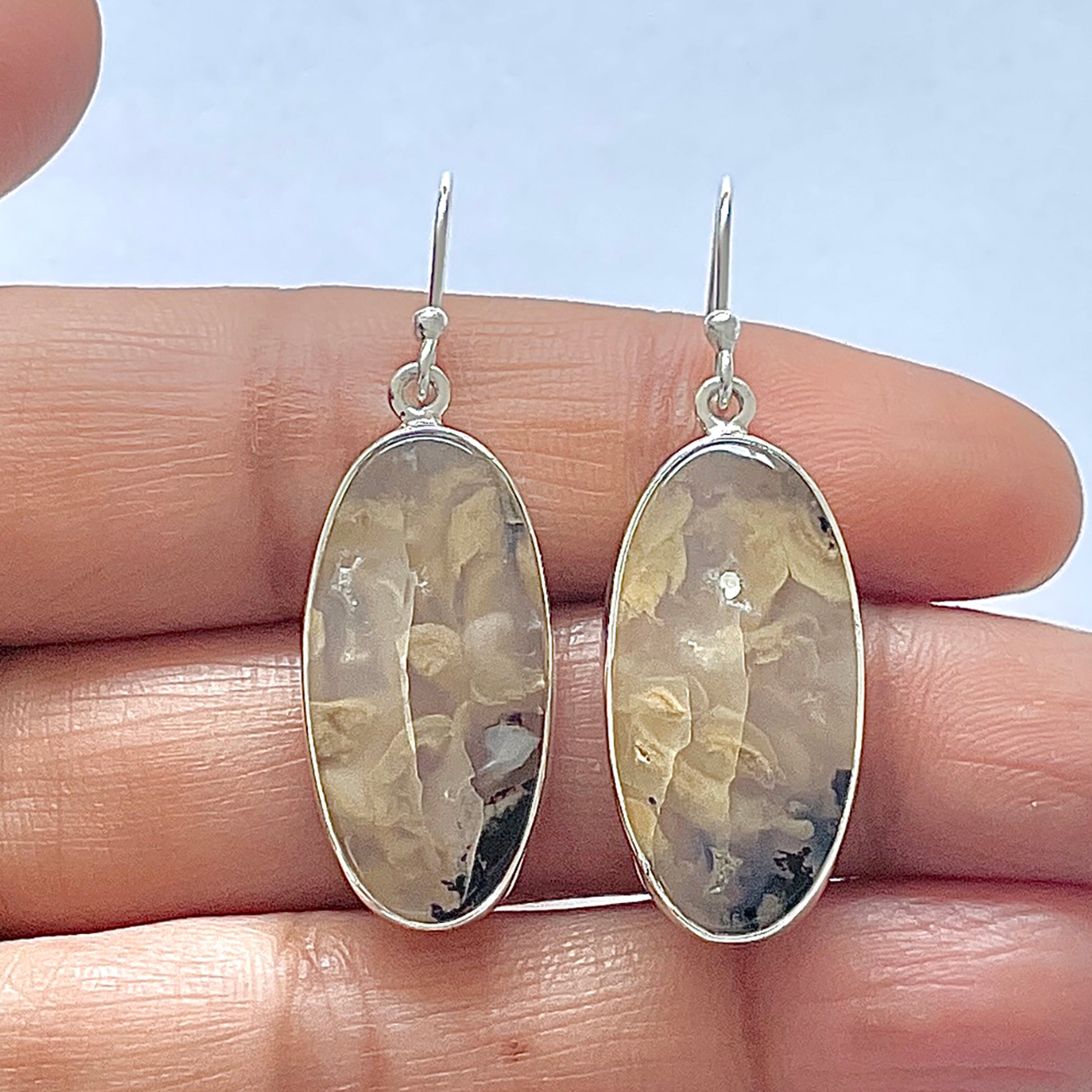 Plume Agate Earring-(PLA-3-25)