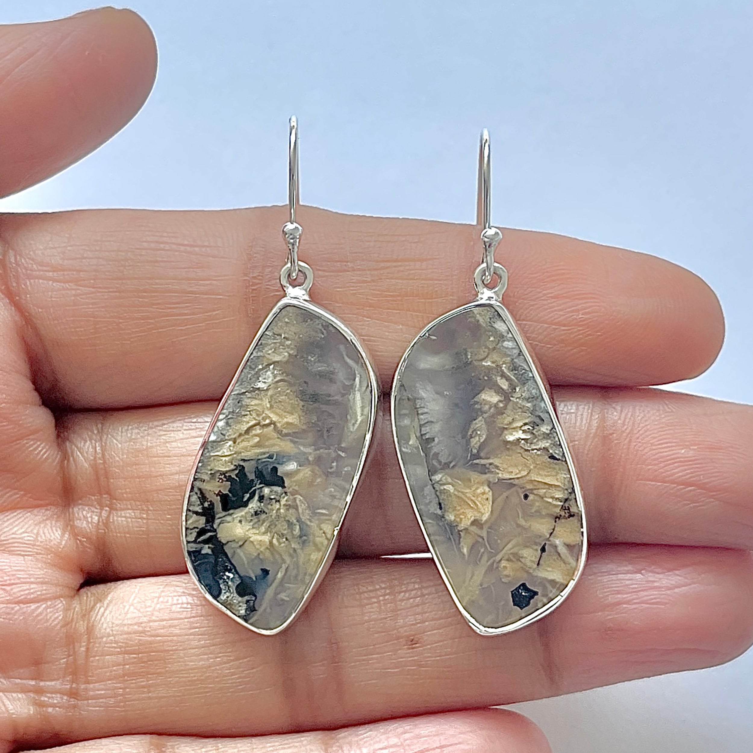 Plume Agate Earring-(PLA-3-29)