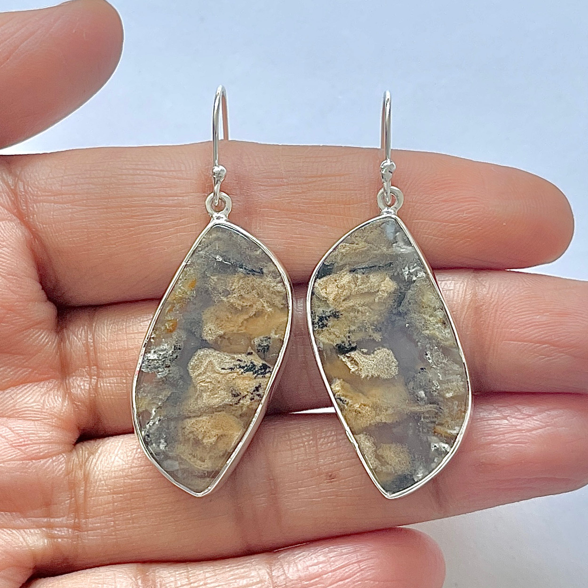 Plume Agate Earring-(PLA-3-30)