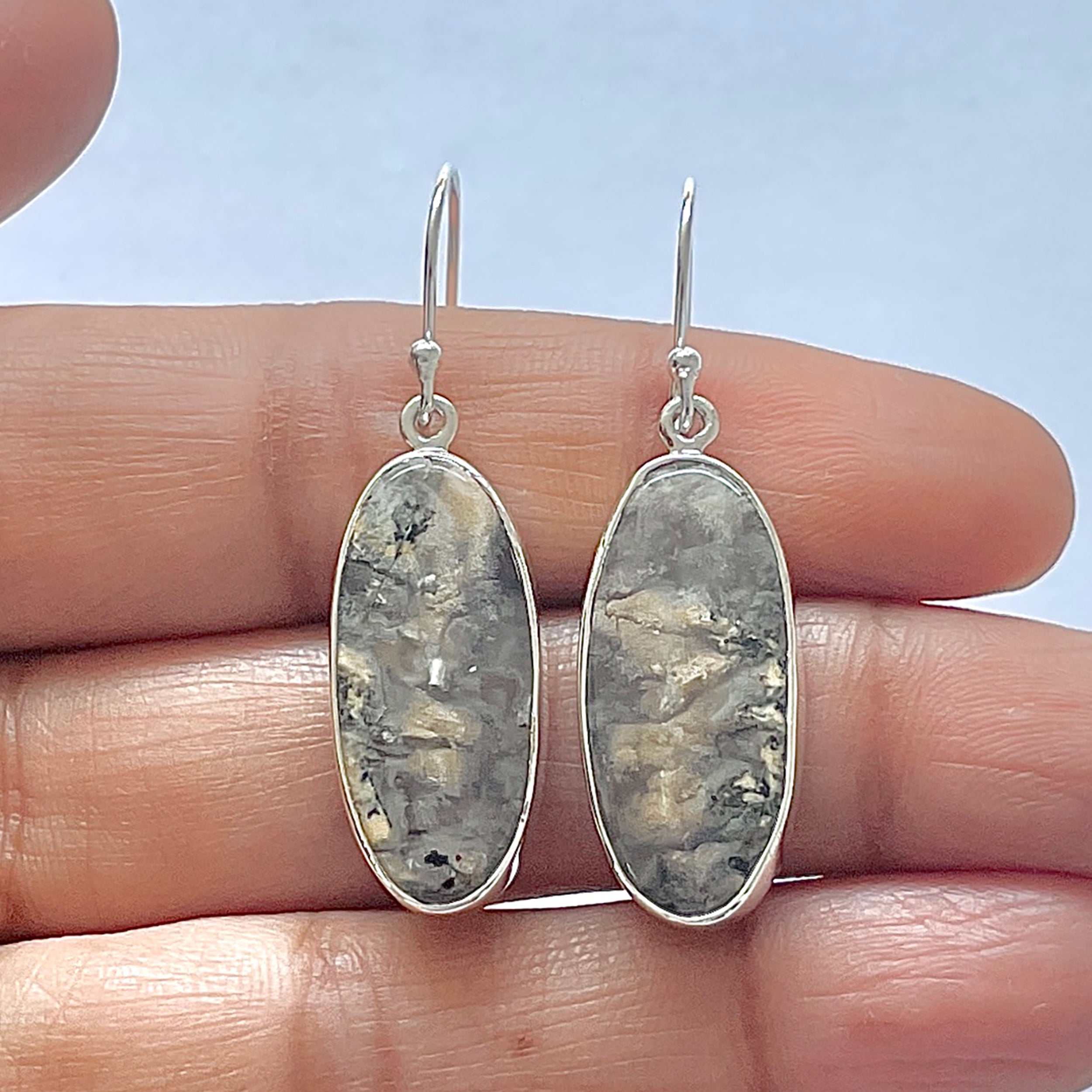 Plume Agate Earring-(PLA-3-7)