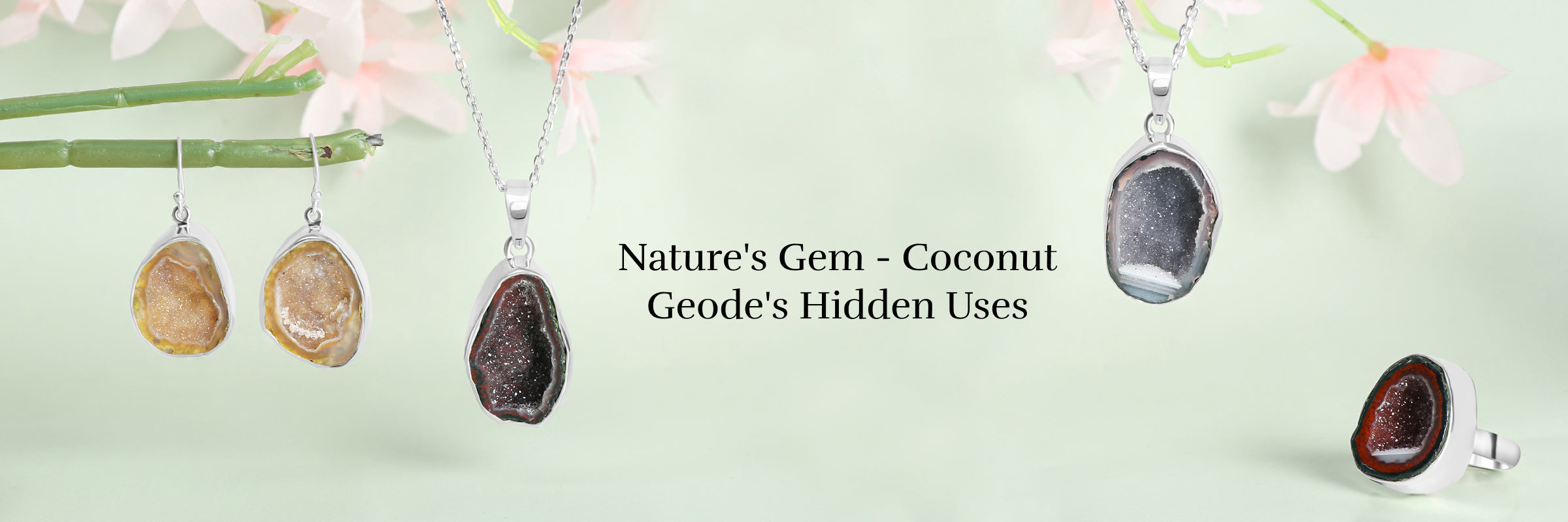 Coconut Geode: Unveiling the Hidden Uses of Nature's Treasure