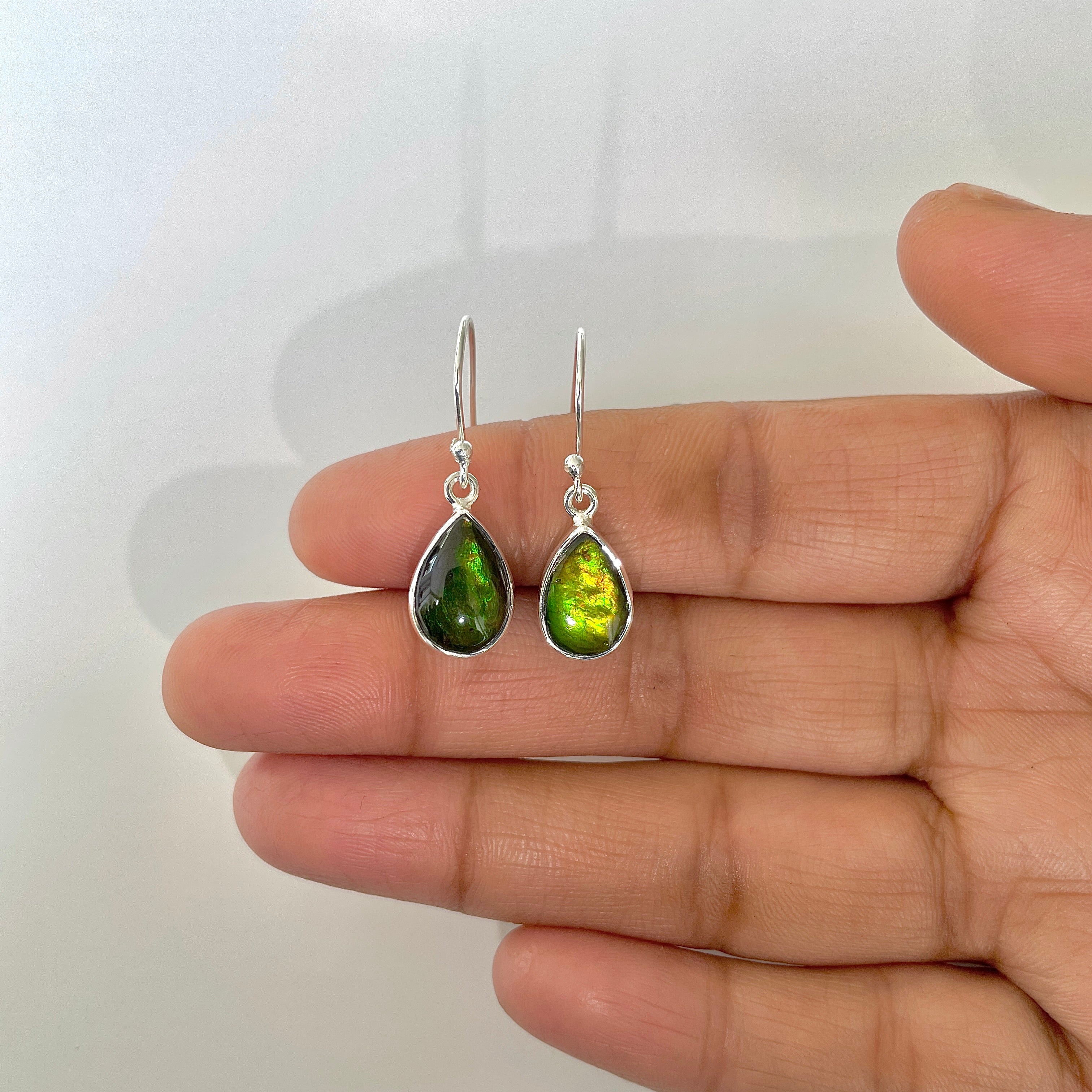 Ammolite Earring-(AML-3-5)