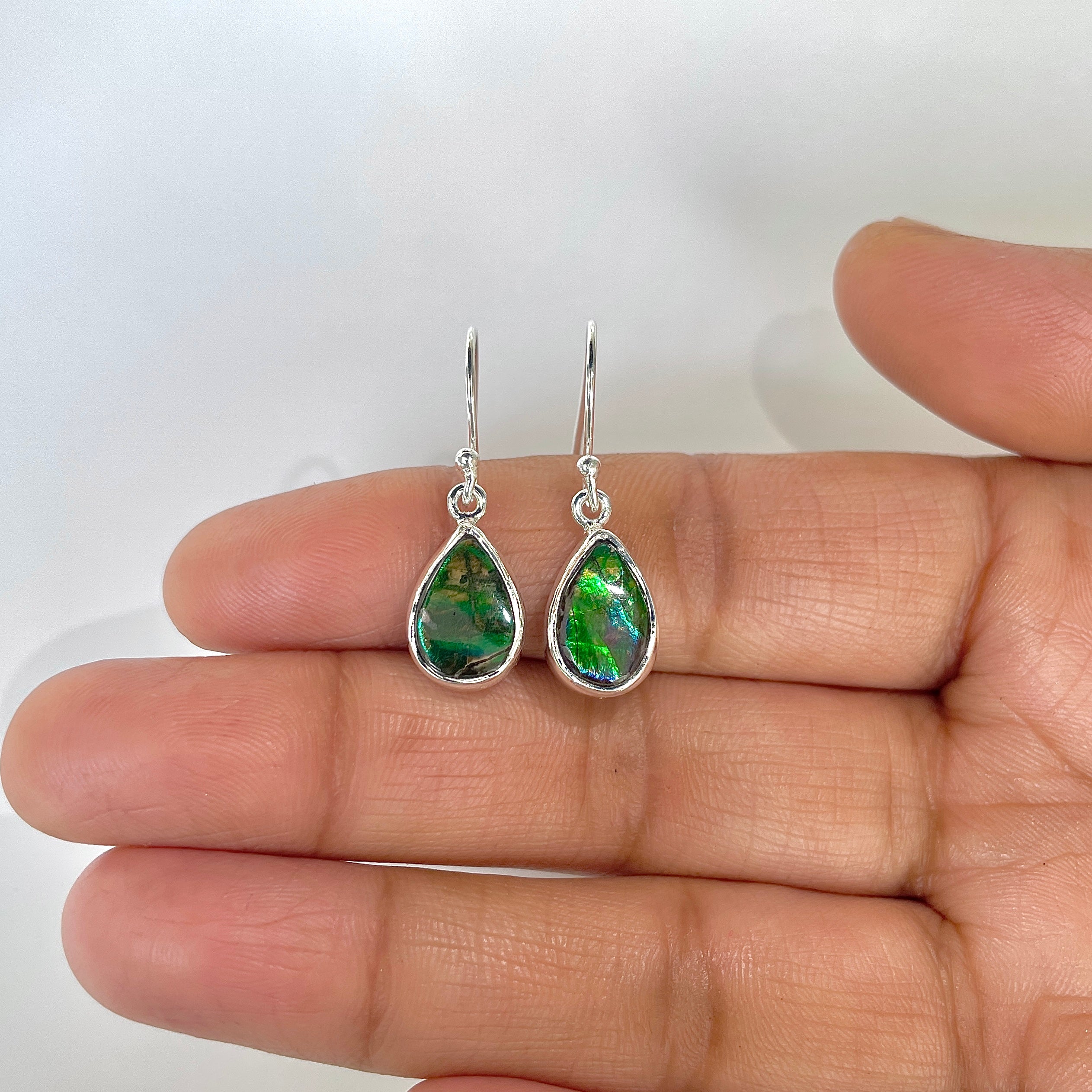 Ammolite Earring-(AML-3-7)