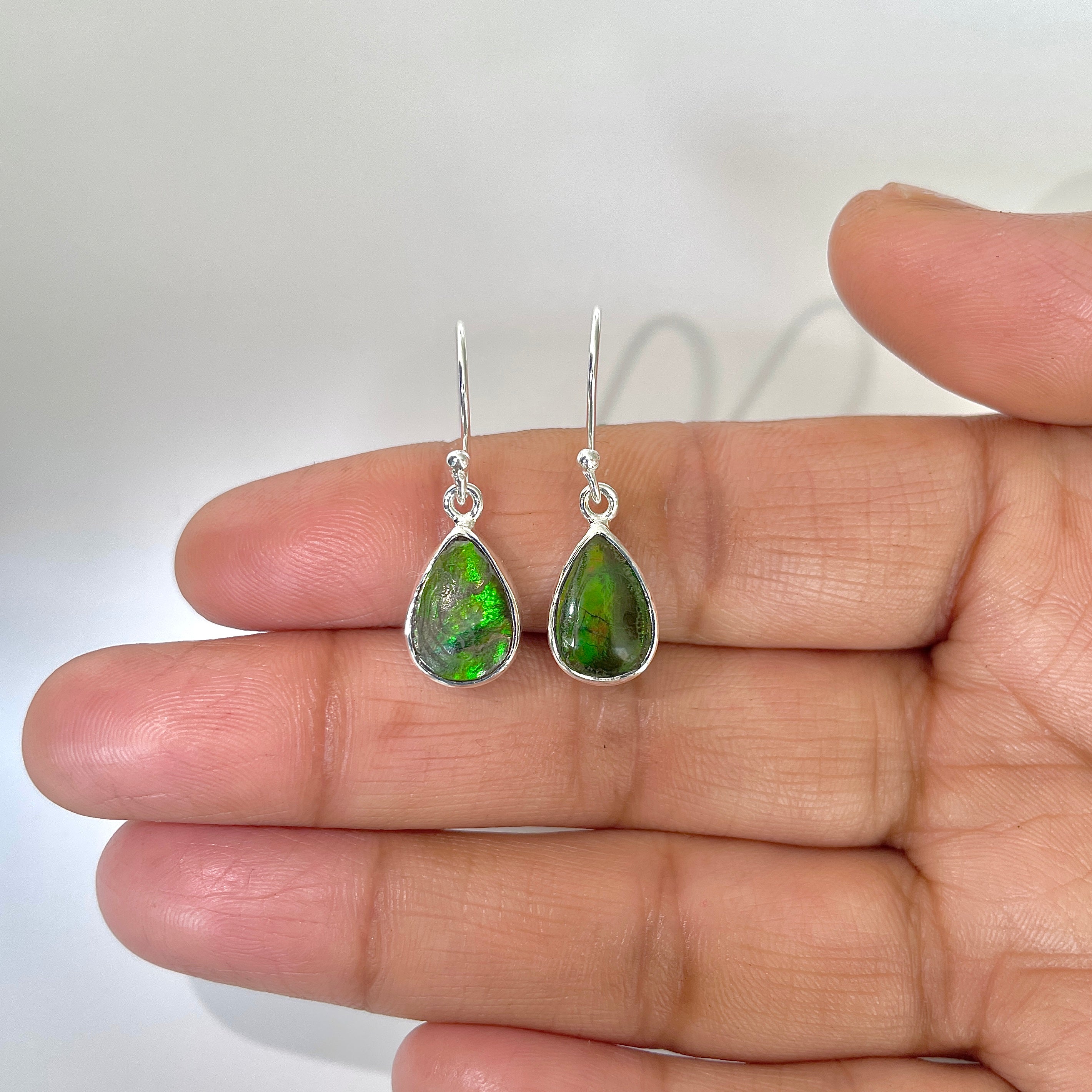 Ammolite Earring-(AML-3-8)