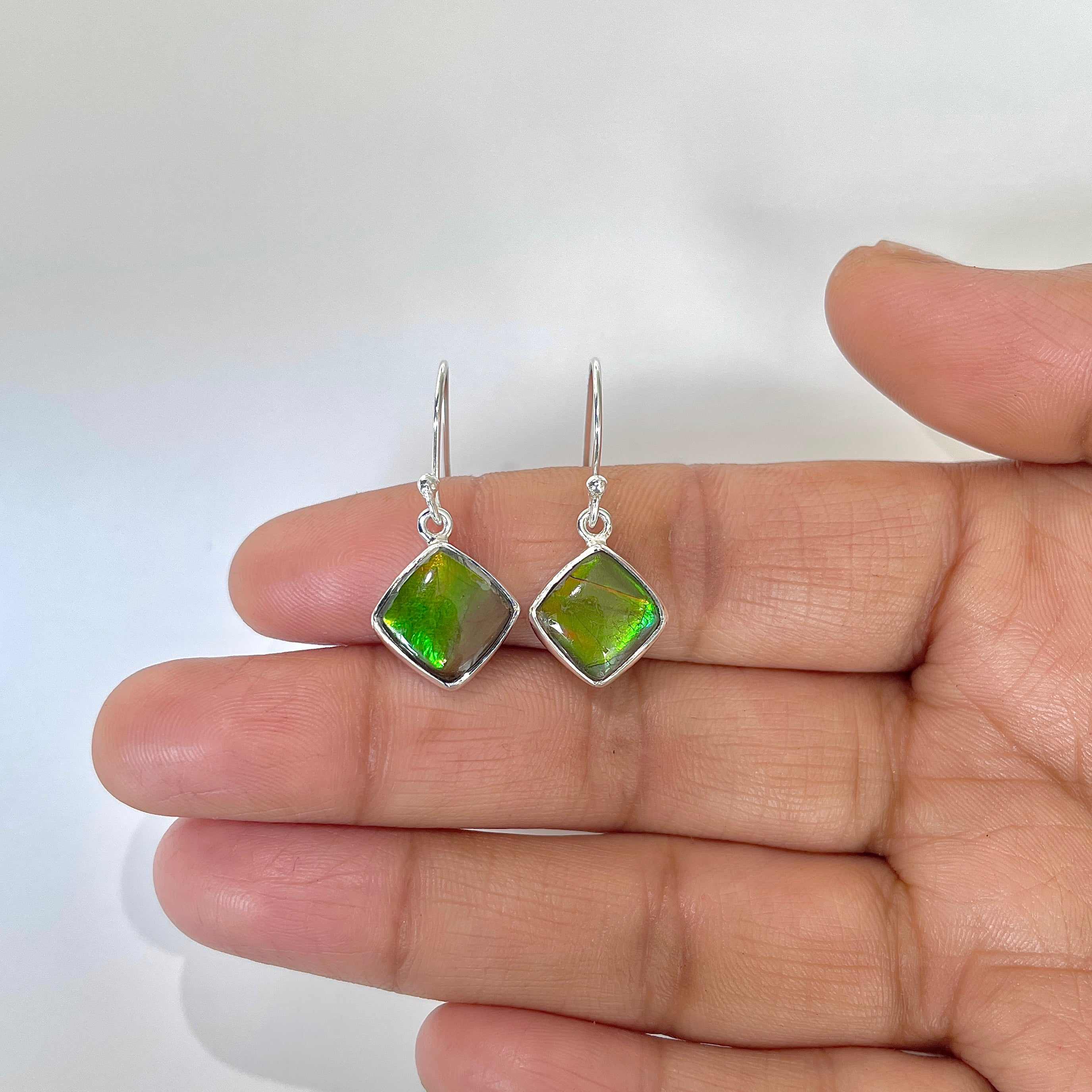 Ammolite Earring-(AML-3-9)