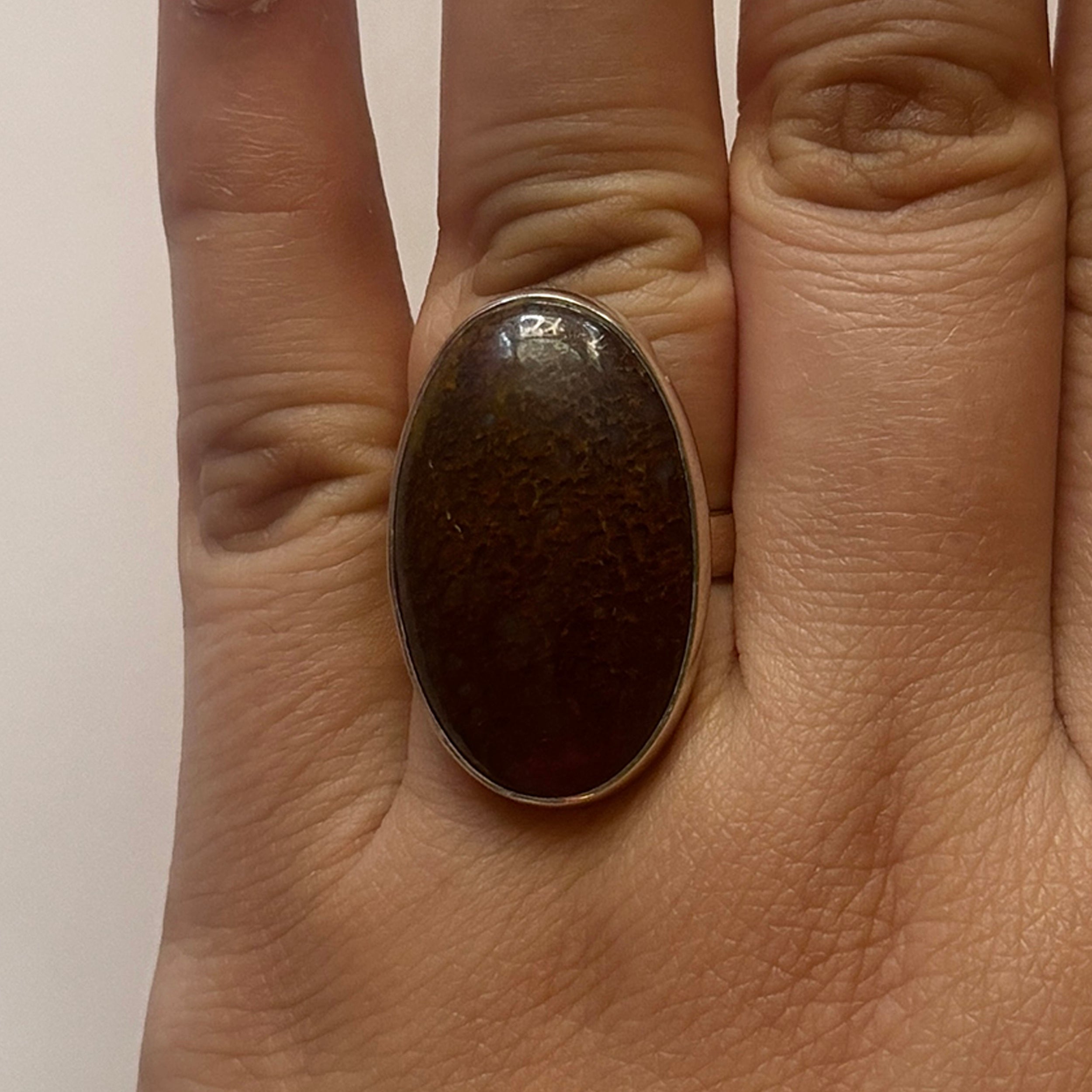 Dinosaur Bone Ring-(DSB-2-12)