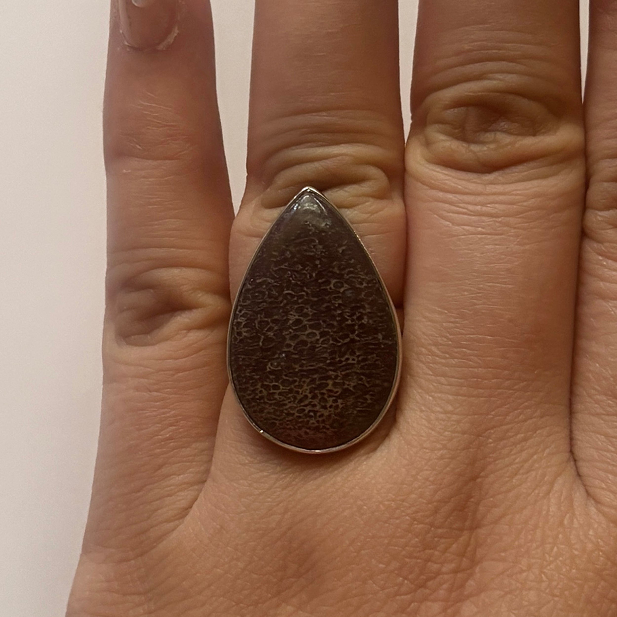 Dinosaur Bone Ring-(DSB-2-14)