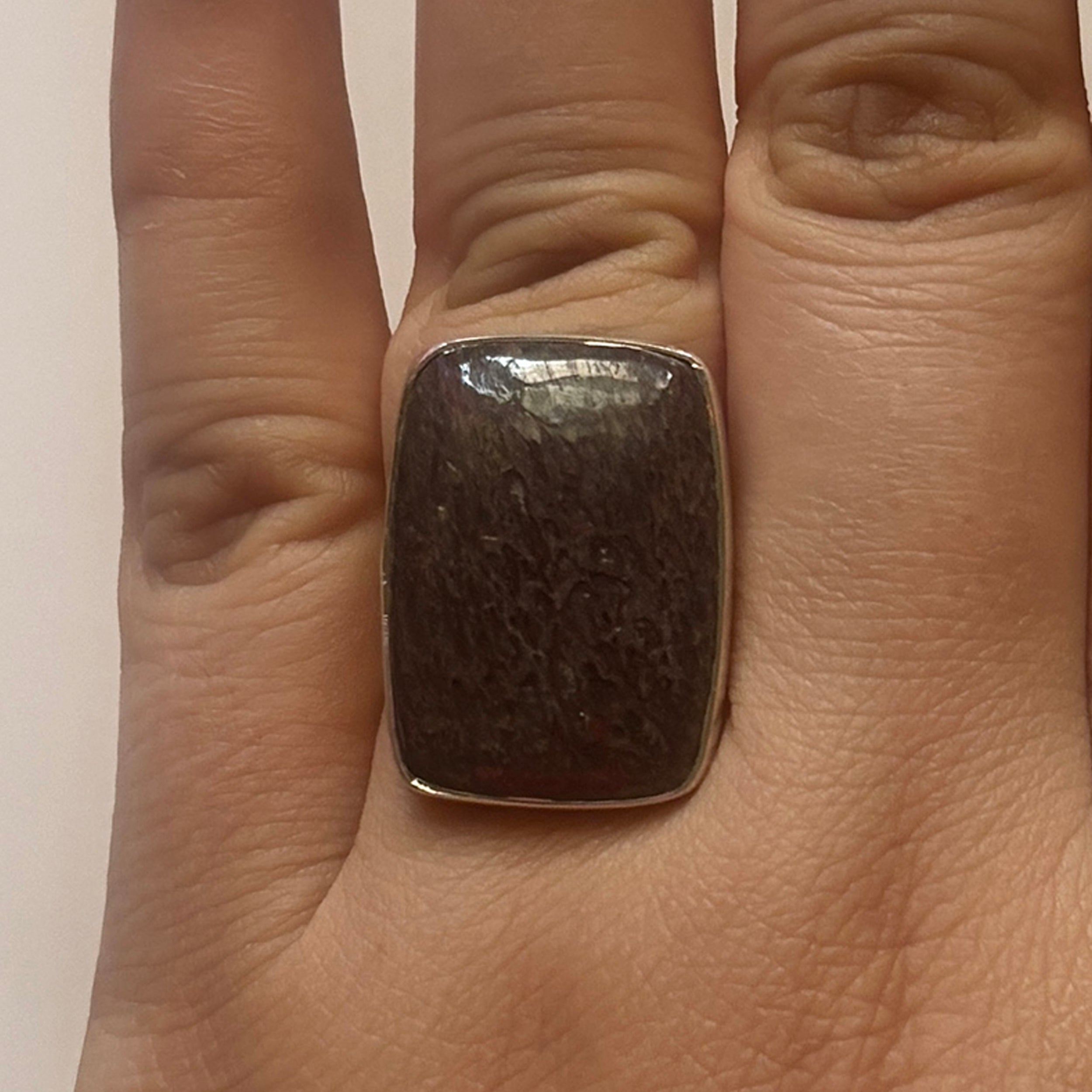 Dinosaur Bone Ring-(DSB-2-15)