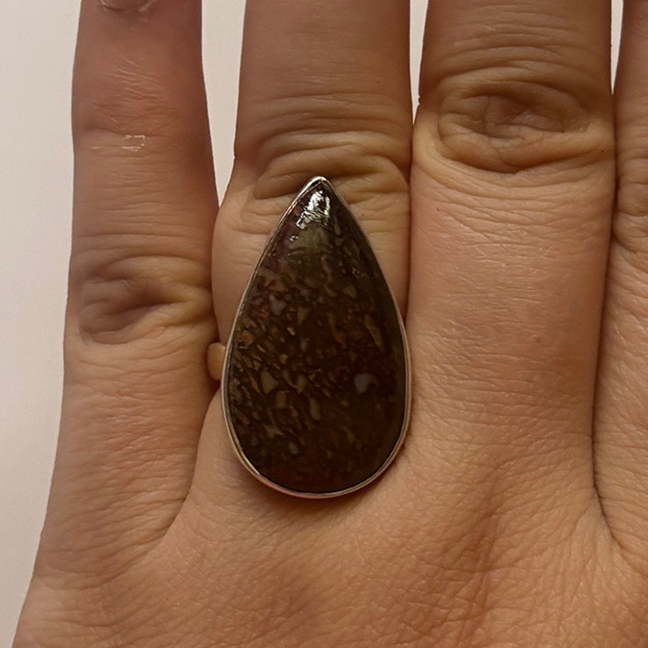 Dinosaur Bone Ring-(DSB-2-4)
