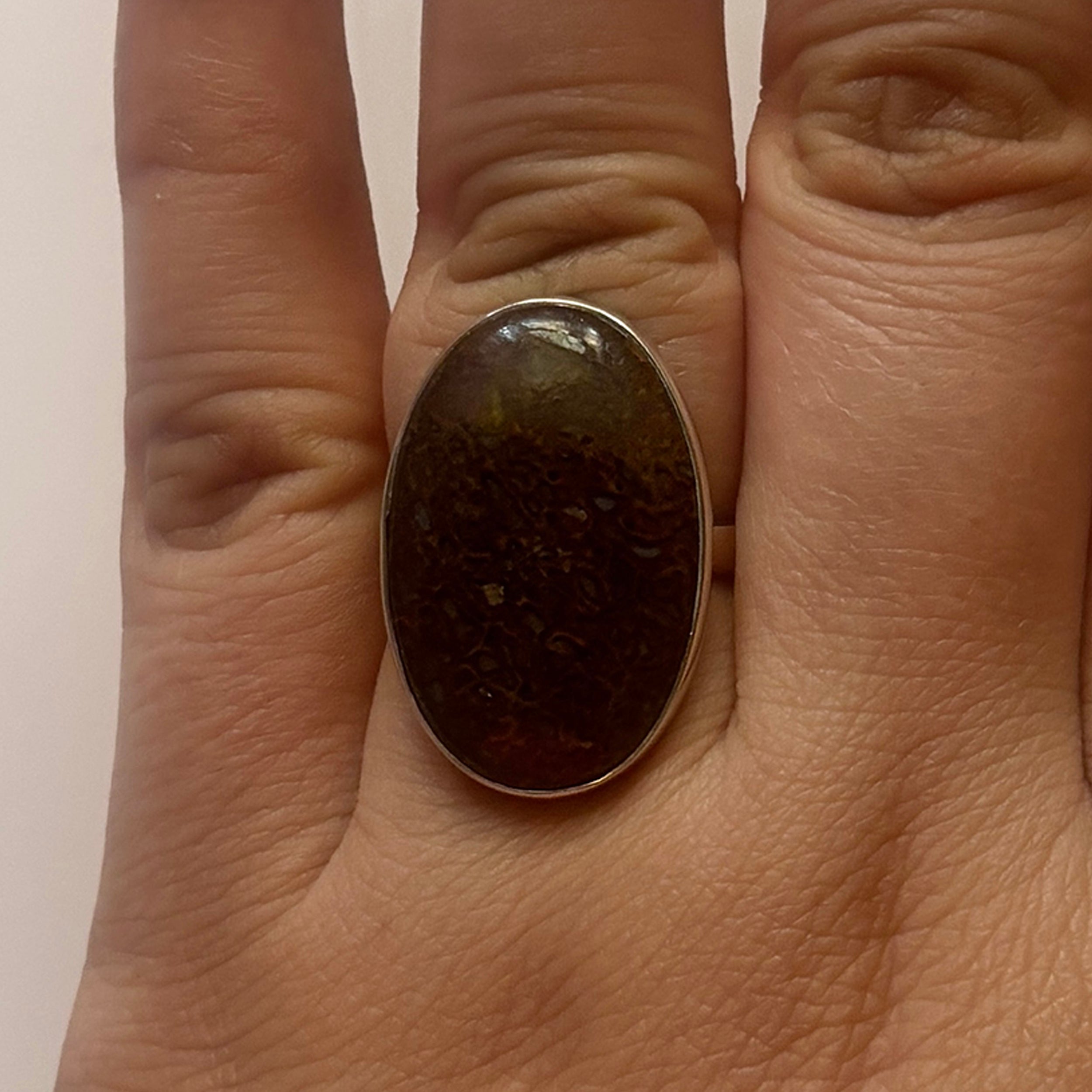 Dinosaur Bone Ring-(DSB-2-6)