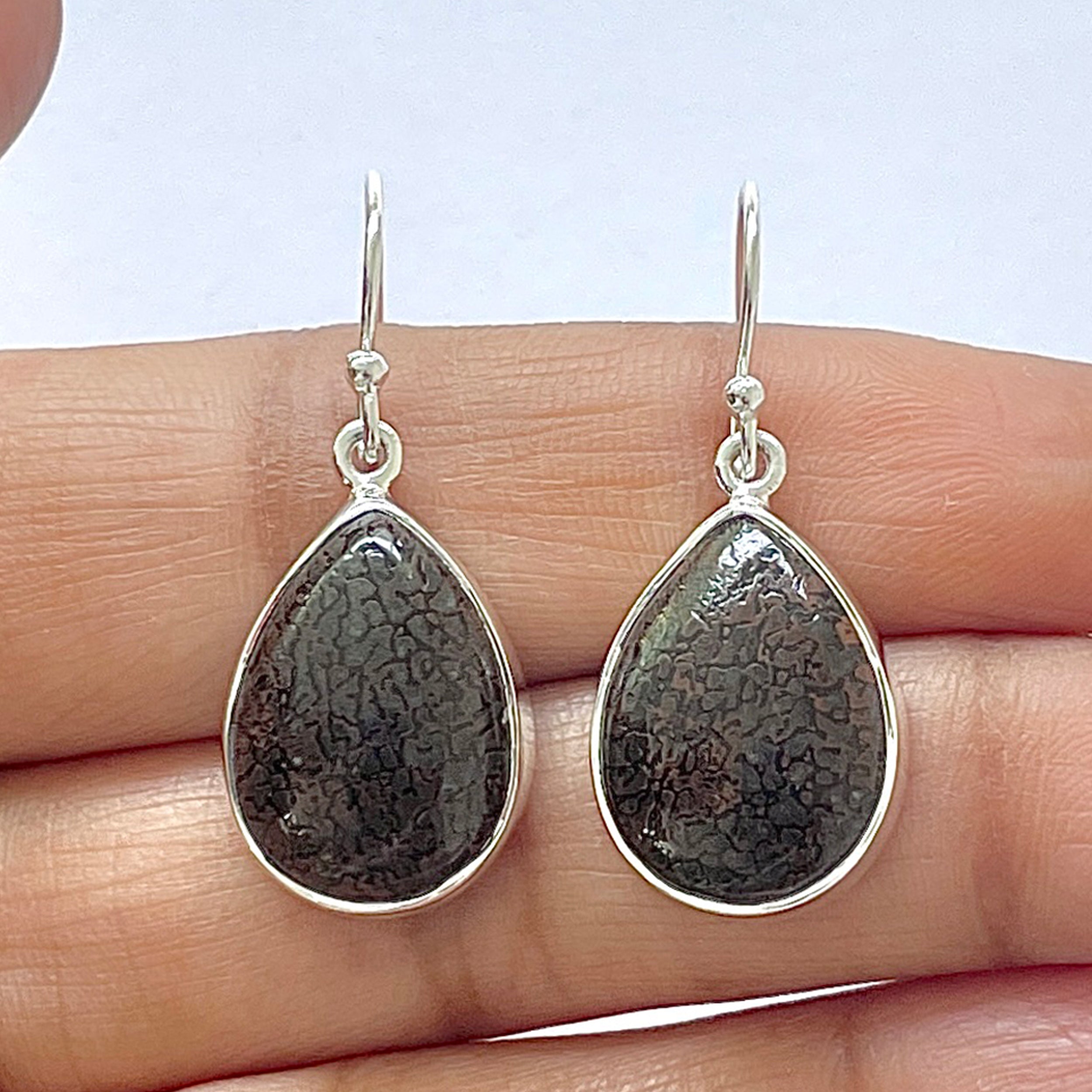 Dinosaur Bone Earring-(DSB-3-15)