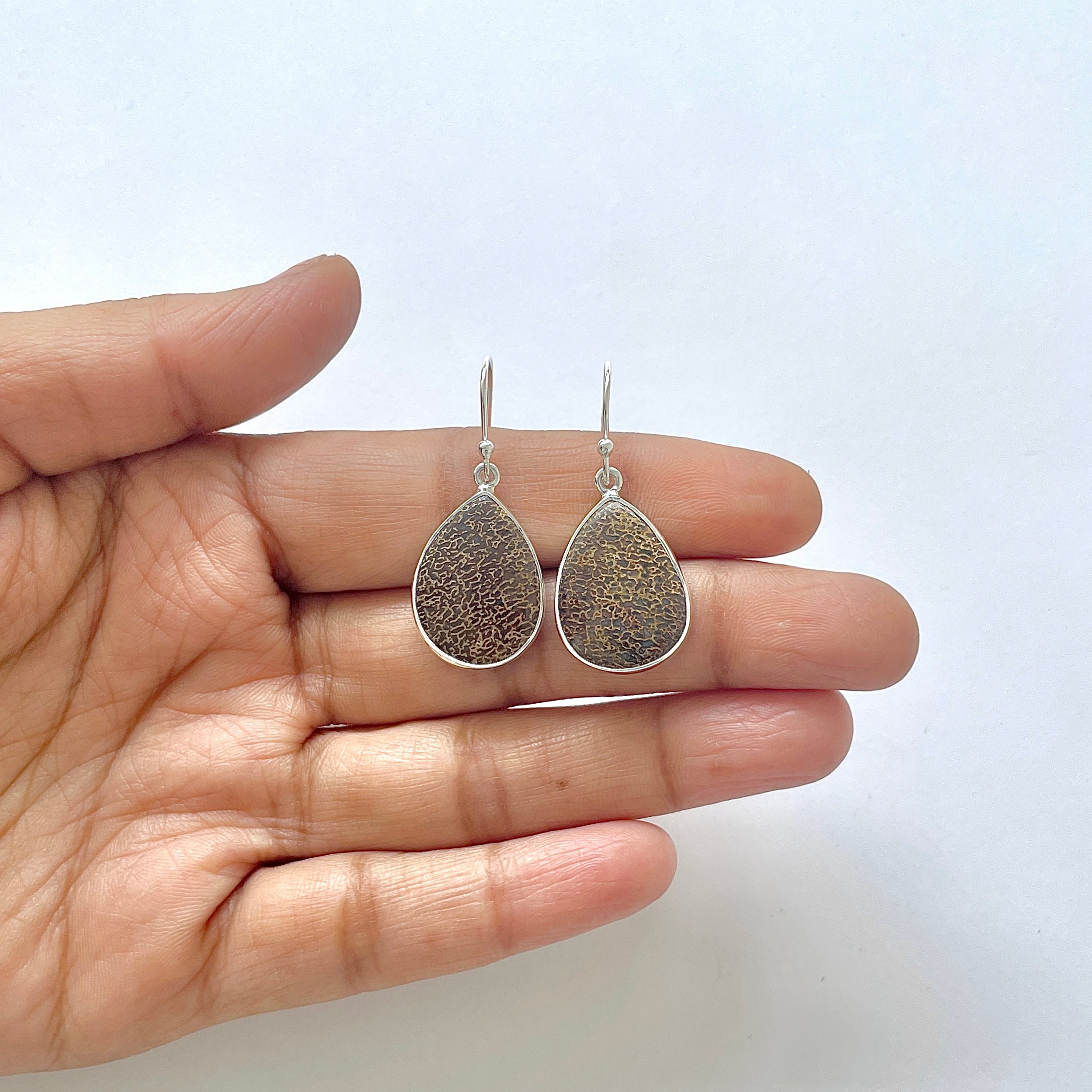 Dinosaur Bone Earring-(DSB-3-18)