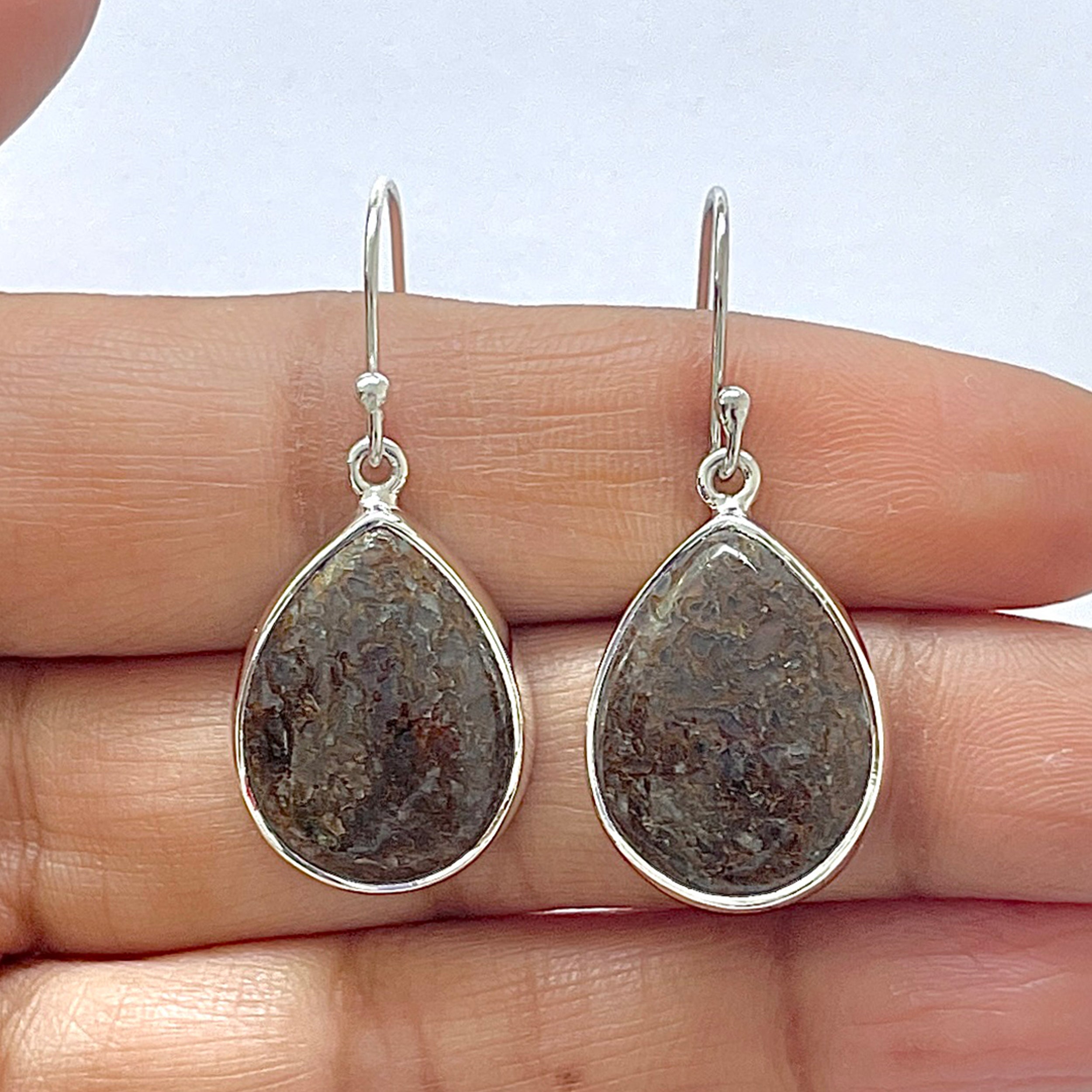 Dinosaur Bone Earring-(DSB-3-19)