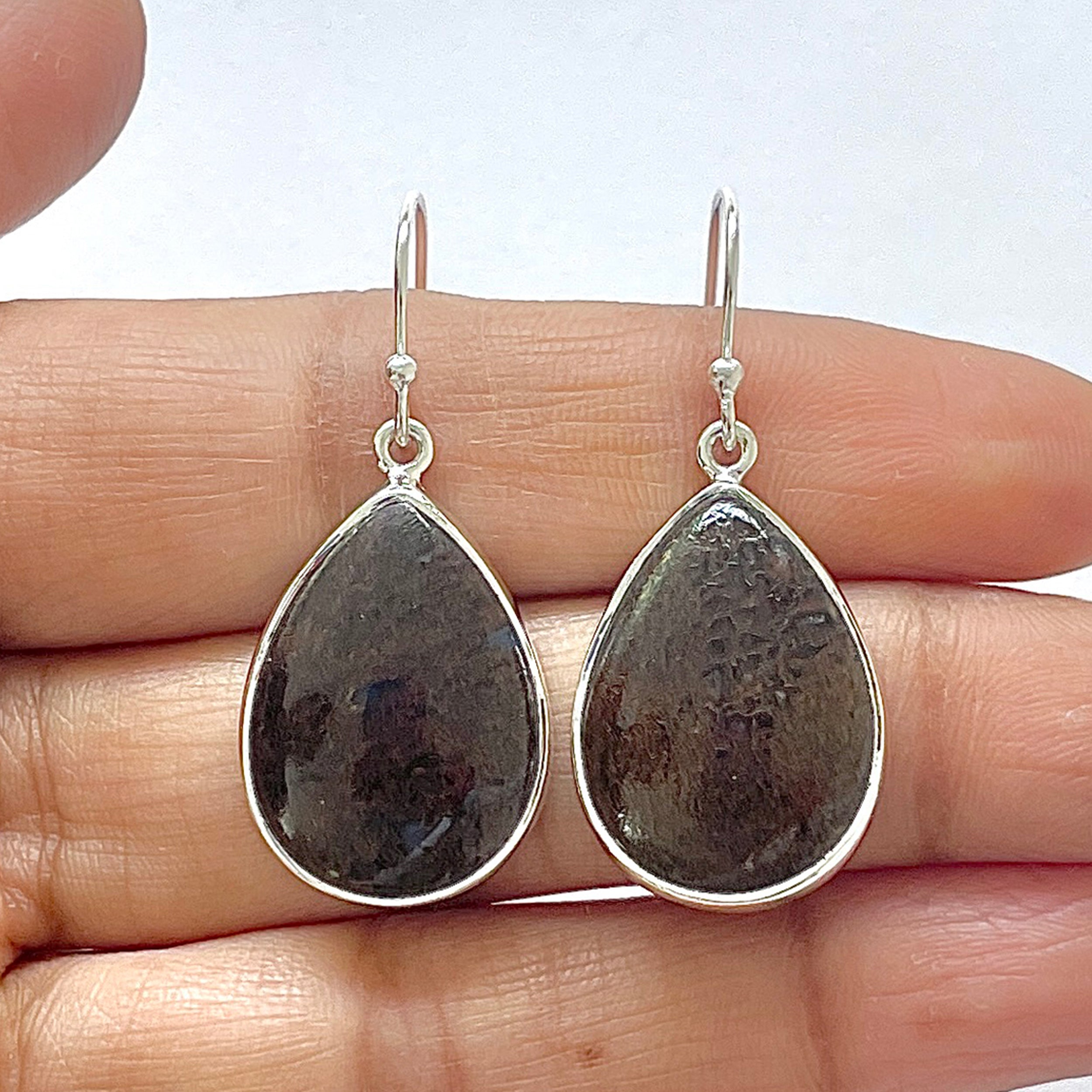 Dinosaur Bone Earring-(DSB-3-20)