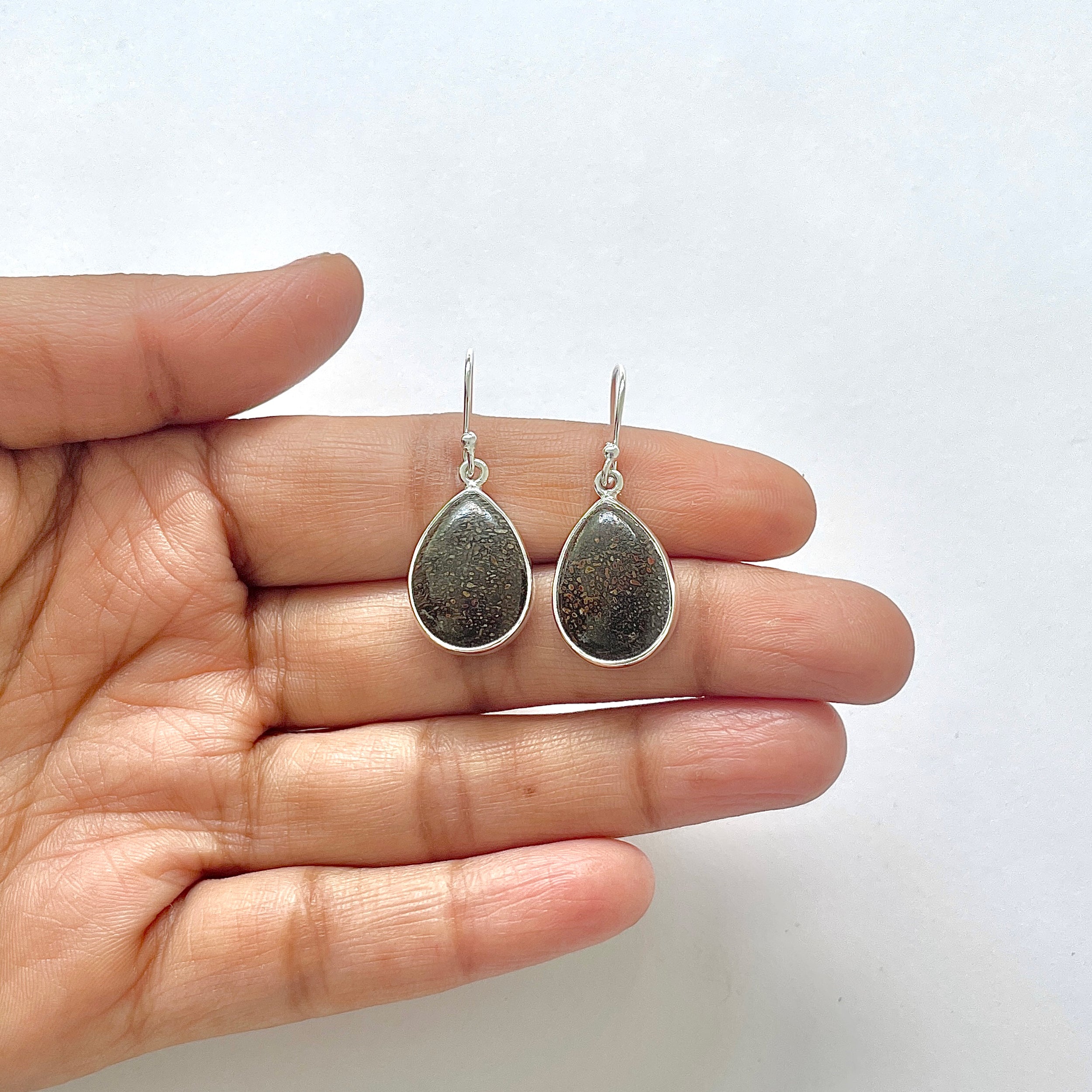 Dinosaur Bone Earring-(DSB-3-24)