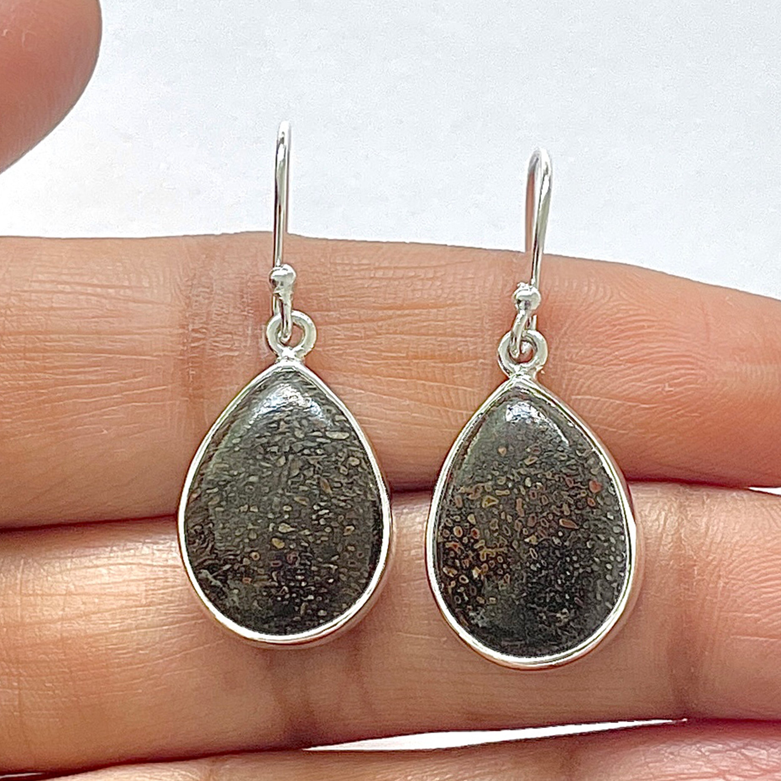 Dinosaur Bone Earring-(DSB-3-24)