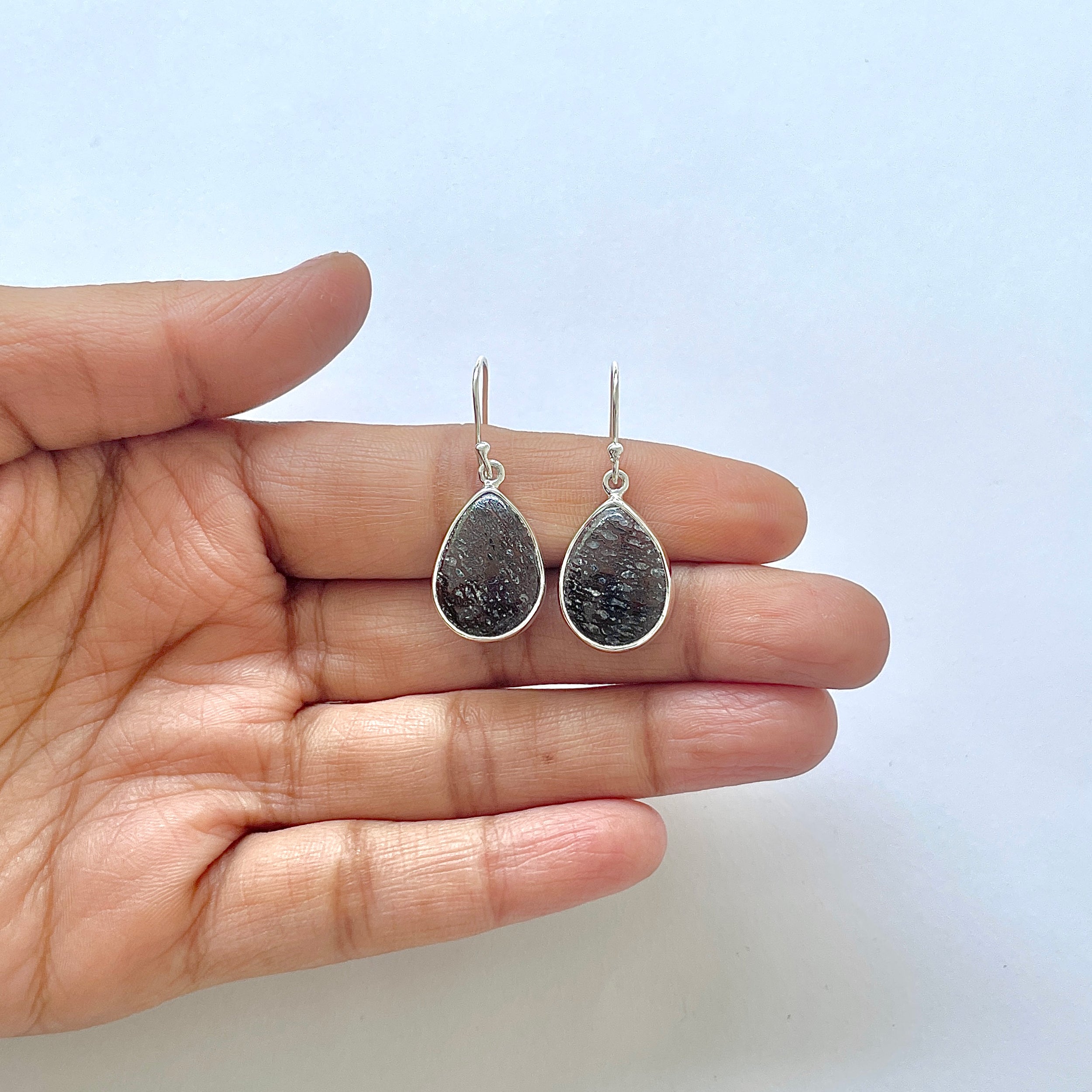 Dinosaur Bone Earring-(DSB-3-3)